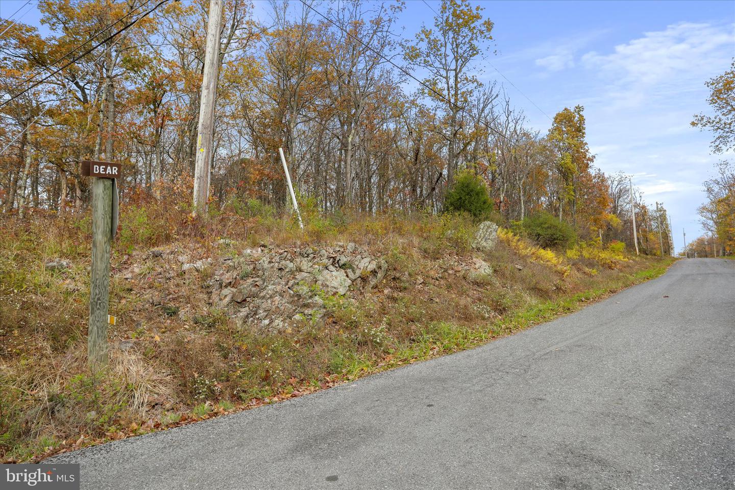 LOT 56 BEAR TRAIL, WINCHESTER, Virginia 22602, ,Land,For sale,LOT 56 BEAR TRAIL,VAFV2037756 MLS # VAFV2037756 LOT 56 BEAR TRAIL, WINCHESTER, Virginia 22602, ,Land,For sale,LOT 56 BEAR TRAIL,VAFV2037756 MLS # VAFV2037756