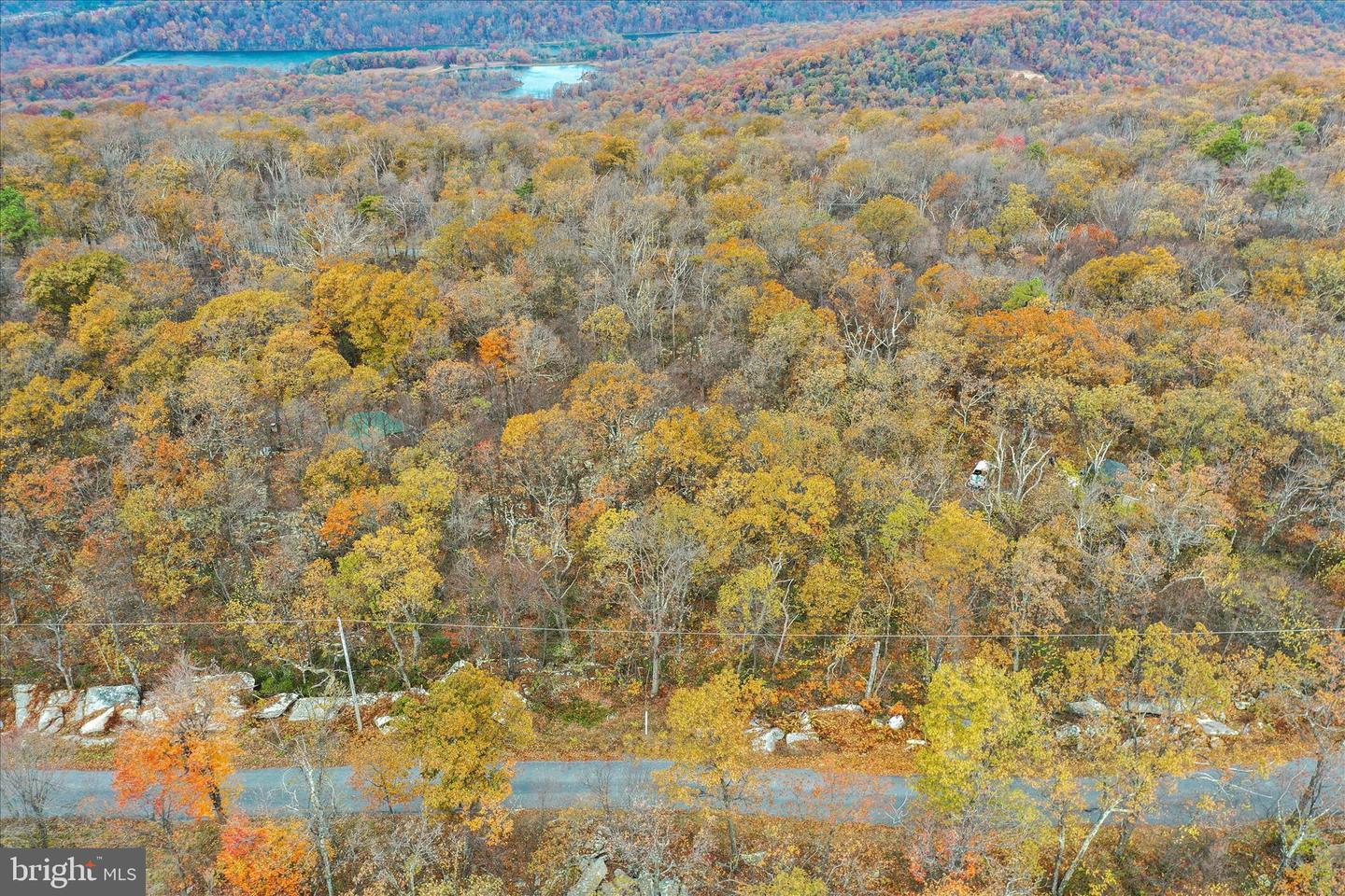 LOT 56 BEAR TRAIL, WINCHESTER, Virginia 22602, ,Land,For sale,LOT 56 BEAR TRAIL,VAFV2037756 MLS # VAFV2037756 LOT 56 BEAR TRAIL, WINCHESTER, Virginia 22602, ,Land,For sale,LOT 56 BEAR TRAIL,VAFV2037756 MLS # VAFV2037756