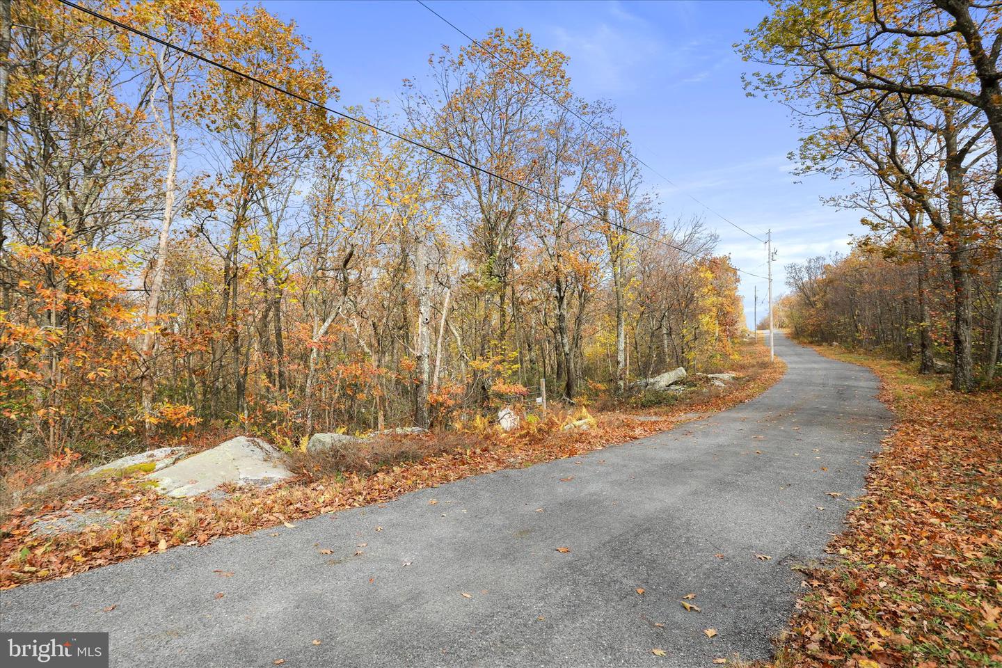 LOT 56 BEAR TRAIL, WINCHESTER, Virginia 22602, ,Land,For sale,LOT 56 BEAR TRAIL,VAFV2037756 MLS # VAFV2037756 LOT 56 BEAR TRAIL, WINCHESTER, Virginia 22602, ,Land,For sale,LOT 56 BEAR TRAIL,VAFV2037756 MLS # VAFV2037756