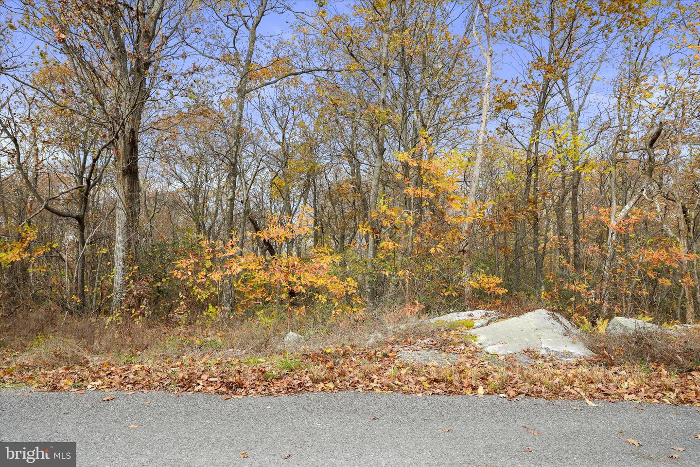 LOT 56 BEAR TRAIL, WINCHESTER, Virginia 22602, ,Land,For sale,LOT 56 BEAR TRAIL,VAFV2037756 MLS # VAFV2037756 LOT 56 BEAR TRAIL, WINCHESTER, Virginia 22602, ,Land,For sale,LOT 56 BEAR TRAIL,VAFV2037756 MLS # VAFV2037756