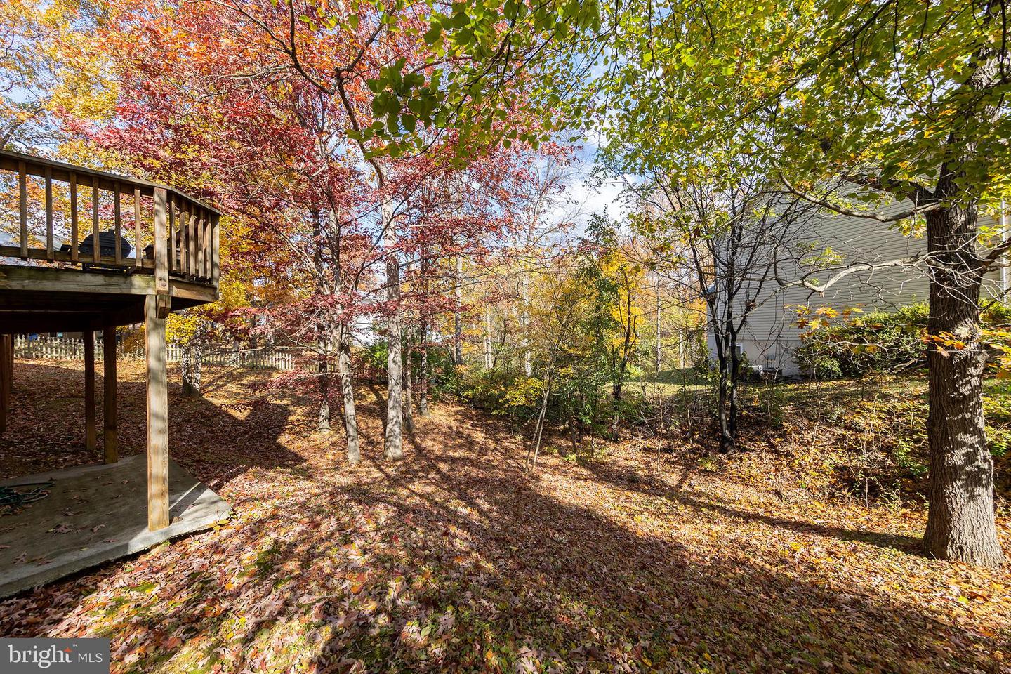 100 WINNS CIR, WINCHESTER, Virginia 22602, 4 Bedrooms Bedrooms, ,2 BathroomsBathrooms,Residential,For sale,100 WINNS CIR,VAFV2037826 MLS # VAFV2037826 100 WINNS CIR, WINCHESTER, Virginia 22602, 4 Bedrooms Bedrooms, ,2 BathroomsBathrooms,Residential,For sale,100 WINNS CIR,VAFV2037826 MLS # VAFV2037826