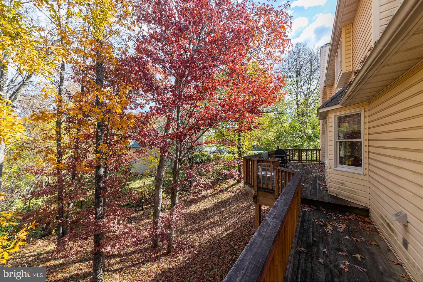 100 WINNS CIR, WINCHESTER, Virginia 22602, 4 Bedrooms Bedrooms, ,2 BathroomsBathrooms,Residential,For sale,100 WINNS CIR,VAFV2037826 MLS # VAFV2037826 100 WINNS CIR, WINCHESTER, Virginia 22602, 4 Bedrooms Bedrooms, ,2 BathroomsBathrooms,Residential,For sale,100 WINNS CIR,VAFV2037826 MLS # VAFV2037826