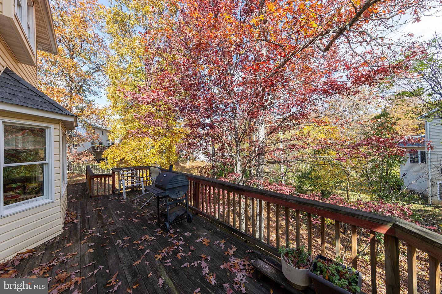 100 WINNS CIR, WINCHESTER, Virginia 22602, 4 Bedrooms Bedrooms, ,2 BathroomsBathrooms,Residential,For sale,100 WINNS CIR,VAFV2037826 MLS # VAFV2037826 100 WINNS CIR, WINCHESTER, Virginia 22602, 4 Bedrooms Bedrooms, ,2 BathroomsBathrooms,Residential,For sale,100 WINNS CIR,VAFV2037826 MLS # VAFV2037826