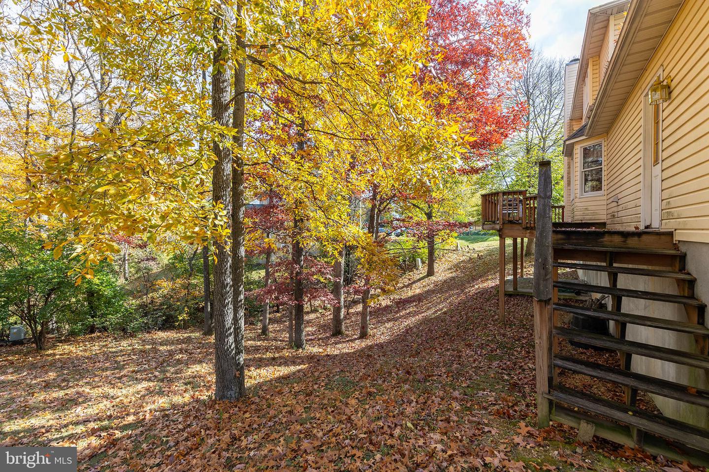 100 WINNS CIR, WINCHESTER, Virginia 22602, 4 Bedrooms Bedrooms, ,2 BathroomsBathrooms,Residential,For sale,100 WINNS CIR,VAFV2037826 MLS # VAFV2037826 100 WINNS CIR, WINCHESTER, Virginia 22602, 4 Bedrooms Bedrooms, ,2 BathroomsBathrooms,Residential,For sale,100 WINNS CIR,VAFV2037826 MLS # VAFV2037826