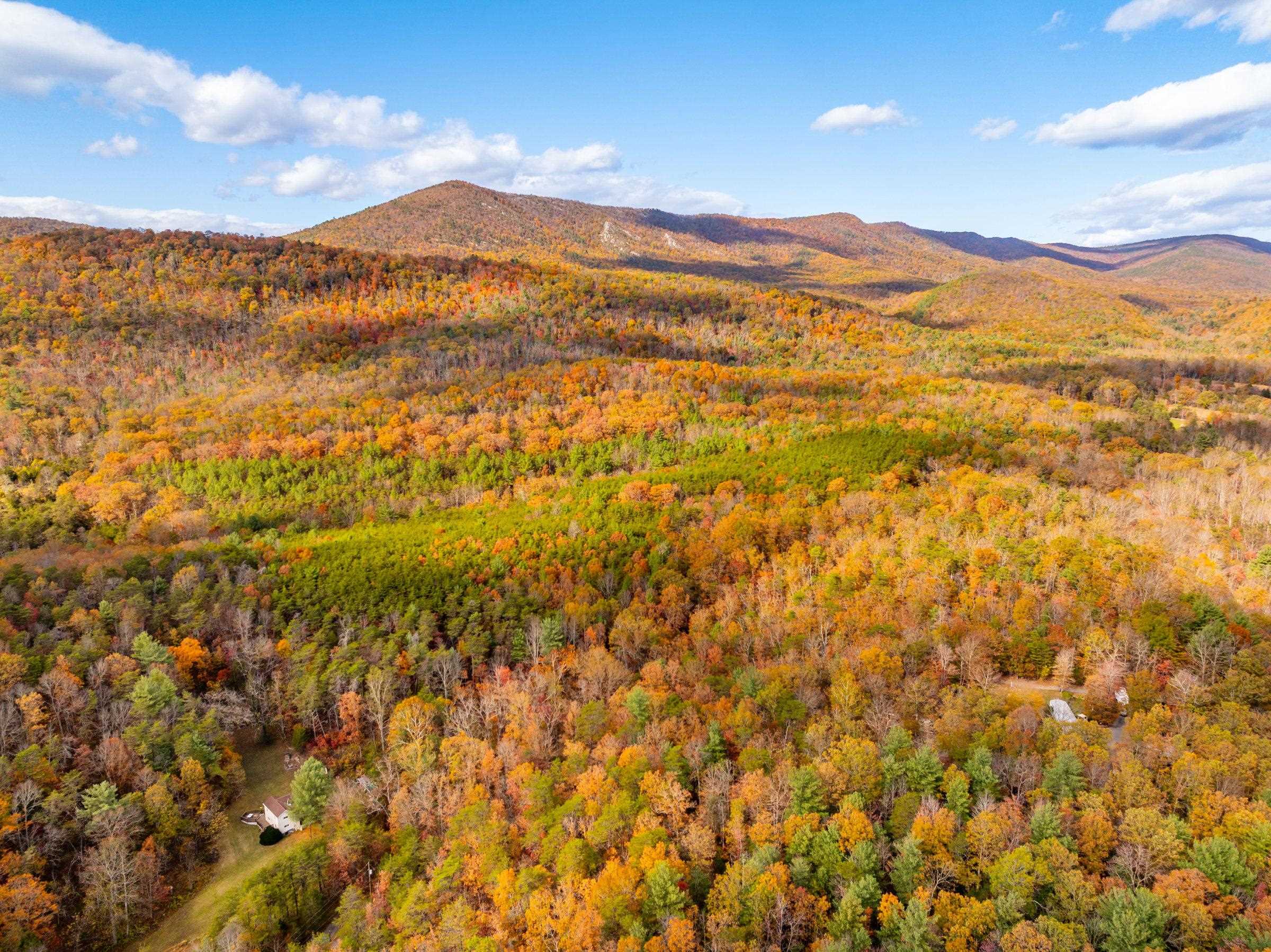 0 BETHANY CHURCH LN, EDINBURG, Virginia 22824, ,Farm,0 BETHANY CHURCH LN,670667 MLS # 670667 0 BETHANY CHURCH LN, EDINBURG, Virginia 22824, ,Farm,0 BETHANY CHURCH LN,670667 MLS # 670667