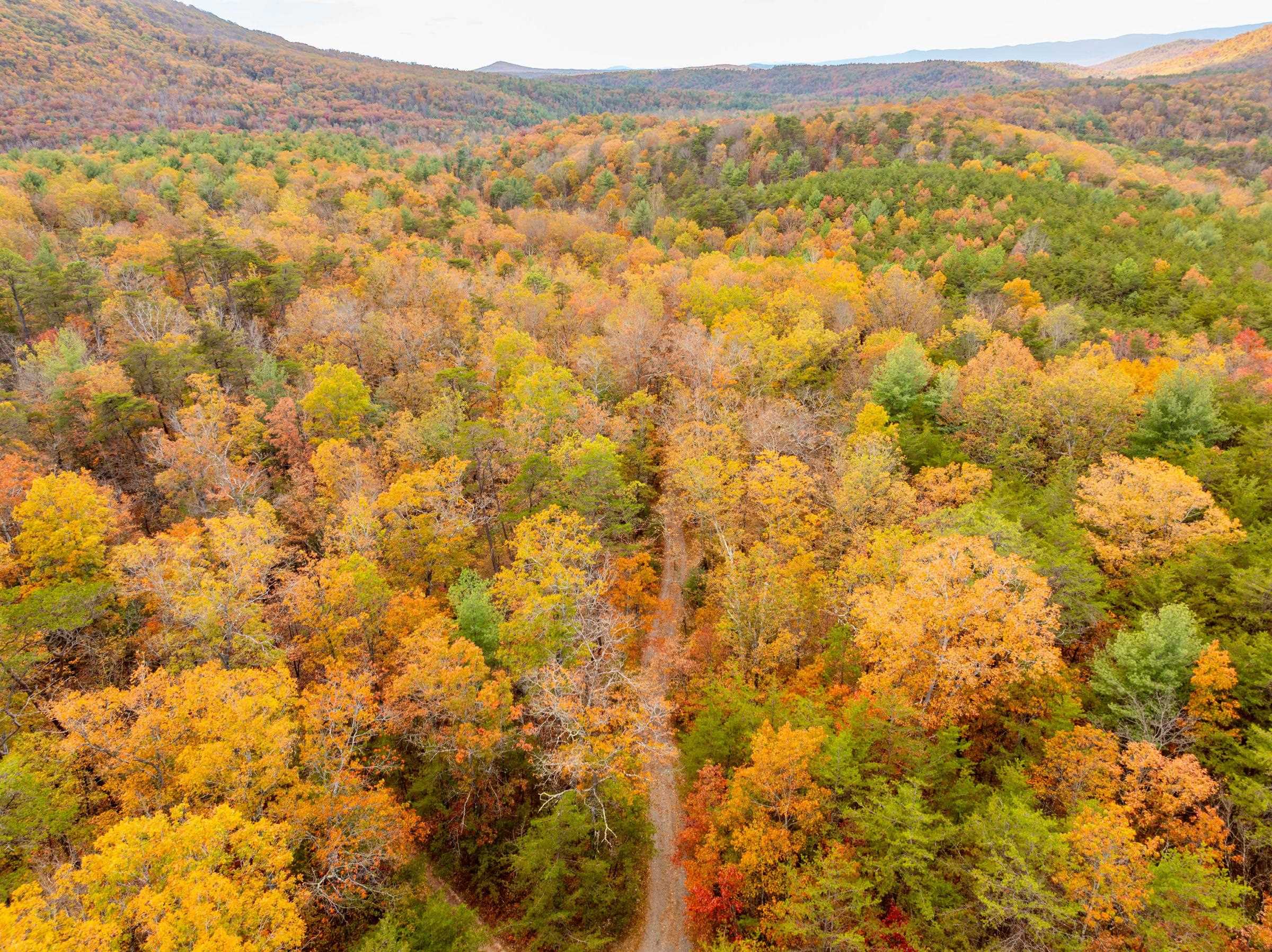 0 BETHANY CHURCH LN, EDINBURG, Virginia 22824, ,Farm,0 BETHANY CHURCH LN,670667 MLS # 670667 0 BETHANY CHURCH LN, EDINBURG, Virginia 22824, ,Farm,0 BETHANY CHURCH LN,670667 MLS # 670667