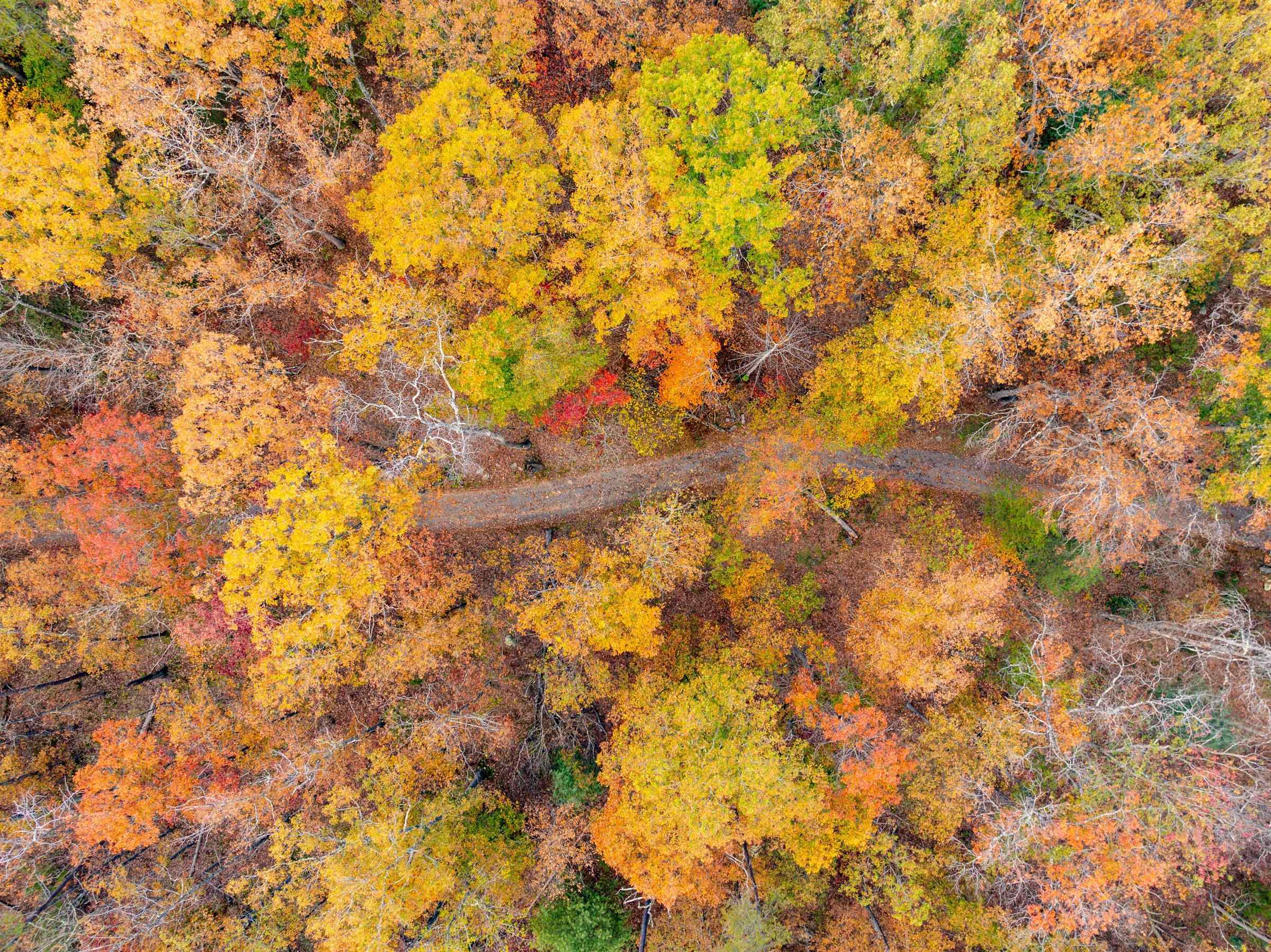 0 BETHANY CHURCH LN, EDINBURG, Virginia 22824, ,Farm,0 BETHANY CHURCH LN,670667 MLS # 670667 0 BETHANY CHURCH LN, EDINBURG, Virginia 22824, ,Farm,0 BETHANY CHURCH LN,670667 MLS # 670667