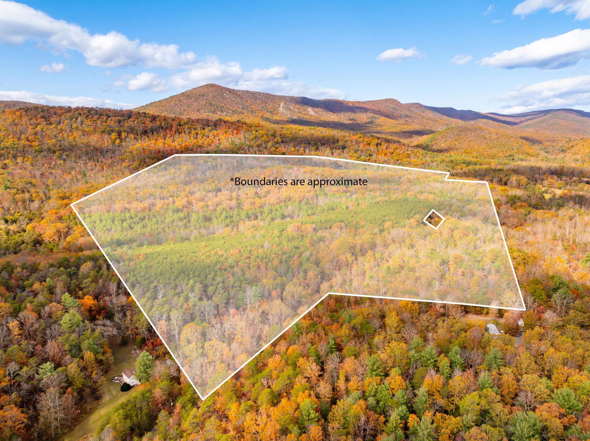 0 BETHANY CHURCH LN, EDINBURG, Virginia 22824, ,Farm,0 BETHANY CHURCH LN,670667 MLS # 670667 0 BETHANY CHURCH LN, EDINBURG, Virginia 22824, ,Farm,0 BETHANY CHURCH LN,670667 MLS # 670667