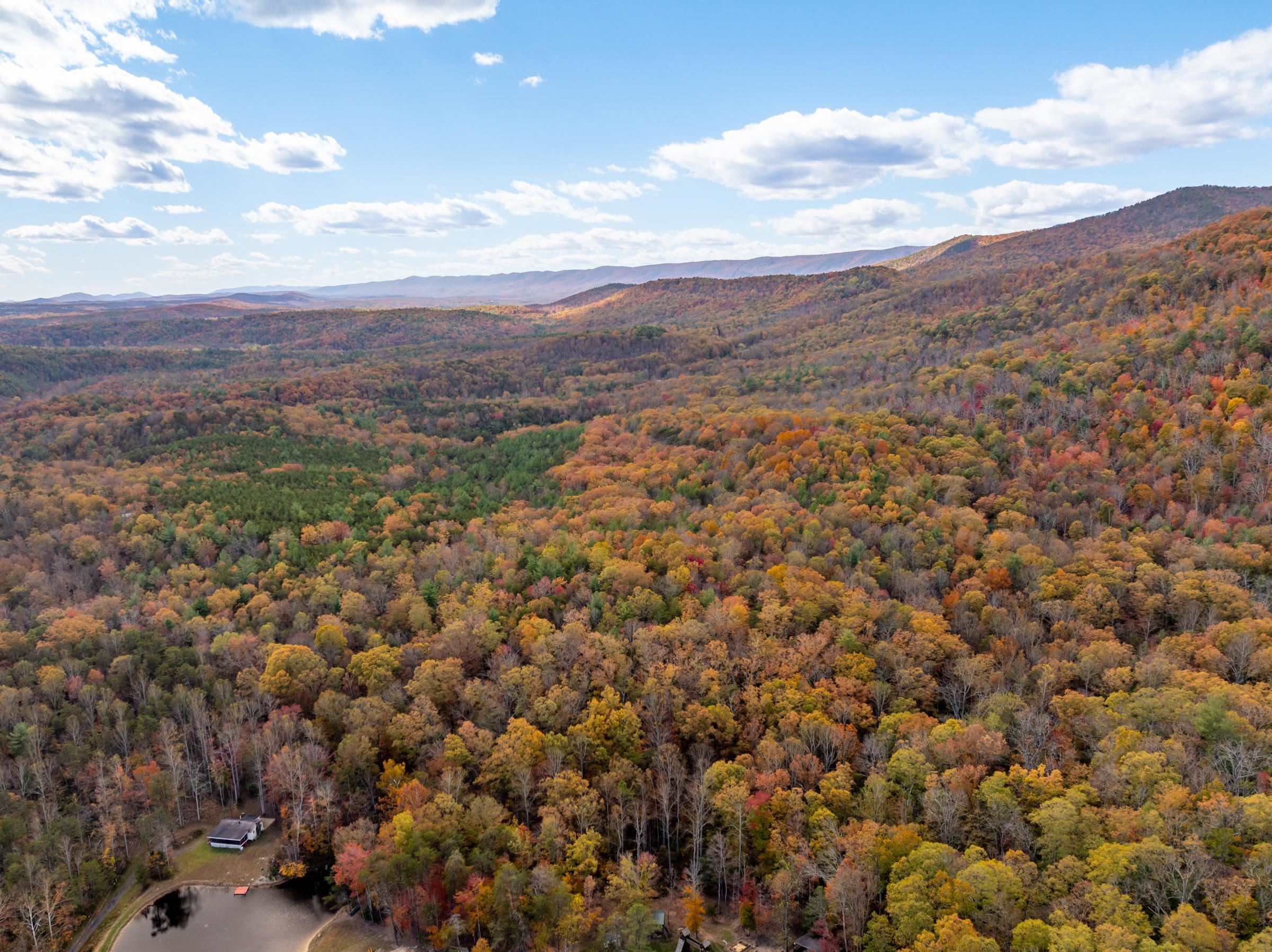 0 BETHANY CHURCH LN, EDINBURG, Virginia 22824, ,Farm,0 BETHANY CHURCH LN,670667 MLS # 670667 0 BETHANY CHURCH LN, EDINBURG, Virginia 22824, ,Farm,0 BETHANY CHURCH LN,670667 MLS # 670667