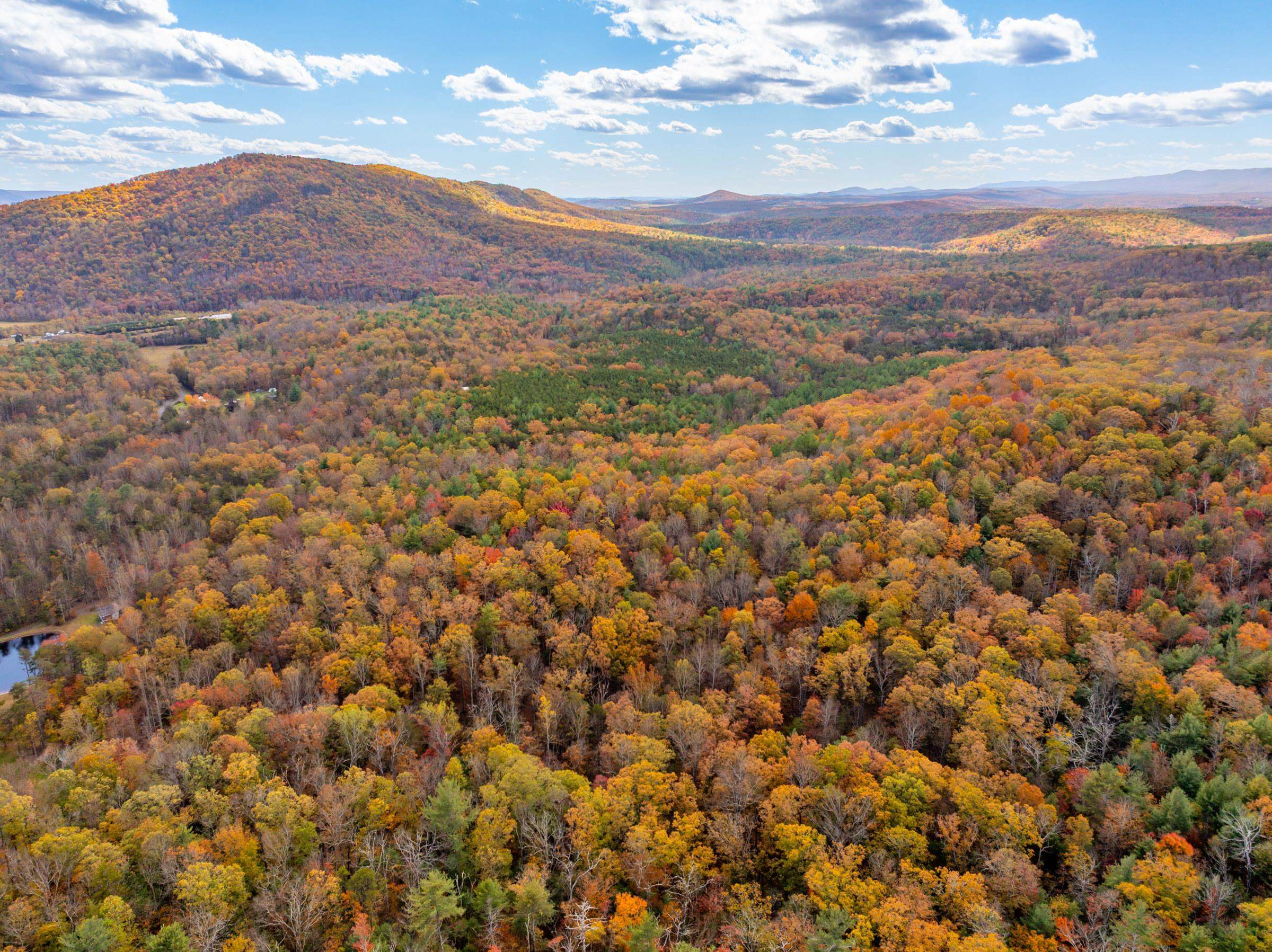 0 BETHANY CHURCH LN, EDINBURG, Virginia 22824, ,Farm,0 BETHANY CHURCH LN,670667 MLS # 670667 0 BETHANY CHURCH LN, EDINBURG, Virginia 22824, ,Farm,0 BETHANY CHURCH LN,670667 MLS # 670667