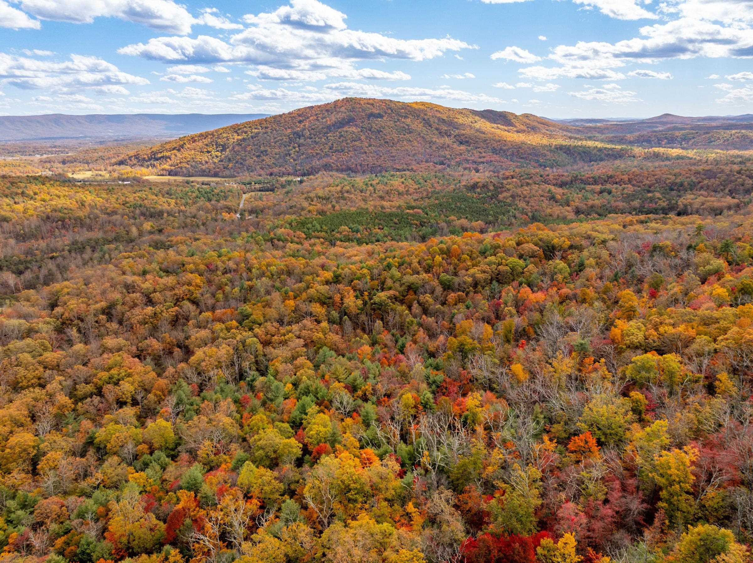 0 BETHANY CHURCH LN, EDINBURG, Virginia 22824, ,Farm,0 BETHANY CHURCH LN,670667 MLS # 670667 0 BETHANY CHURCH LN, EDINBURG, Virginia 22824, ,Farm,0 BETHANY CHURCH LN,670667 MLS # 670667