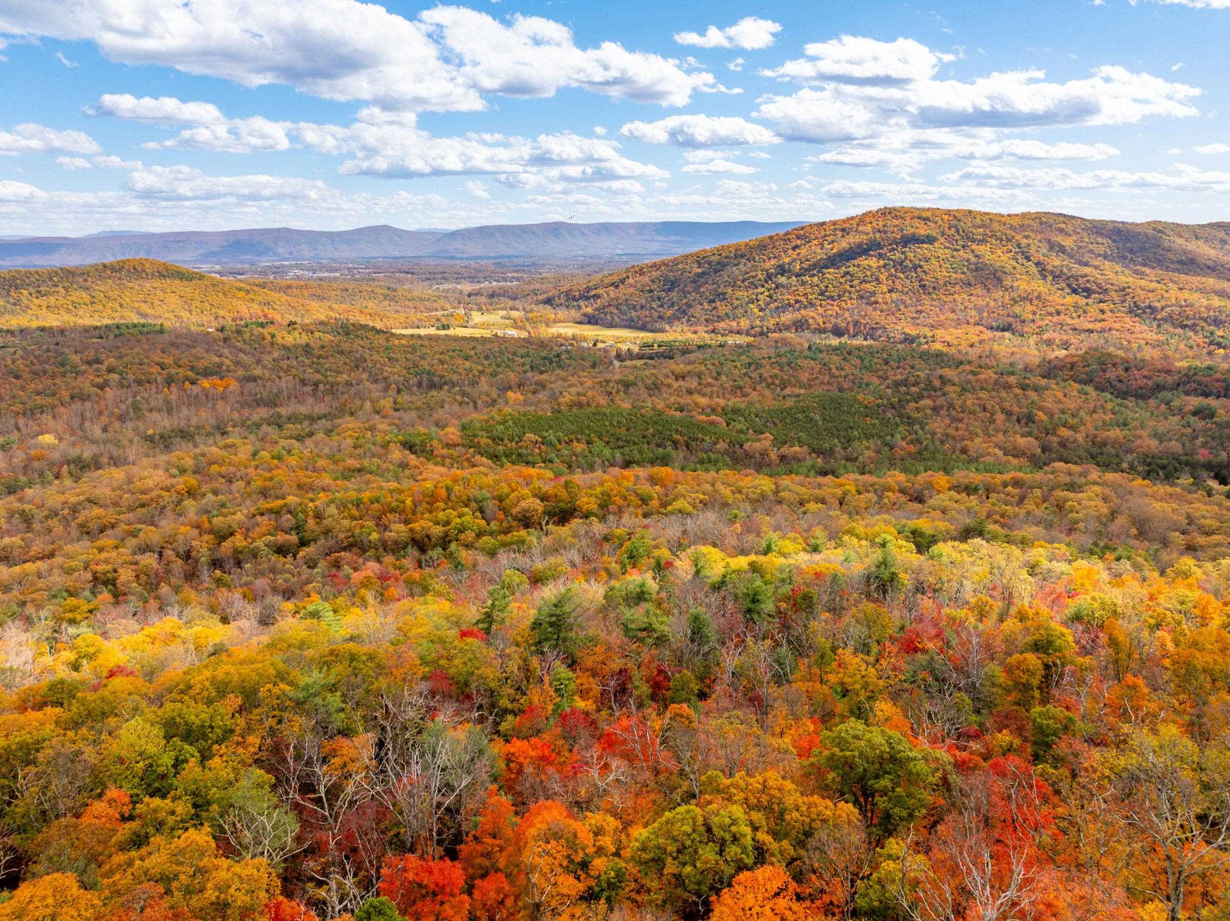 0 BETHANY CHURCH LN, EDINBURG, Virginia 22824, ,Farm,0 BETHANY CHURCH LN,670667 MLS # 670667 0 BETHANY CHURCH LN, EDINBURG, Virginia 22824, ,Farm,0 BETHANY CHURCH LN,670667 MLS # 670667