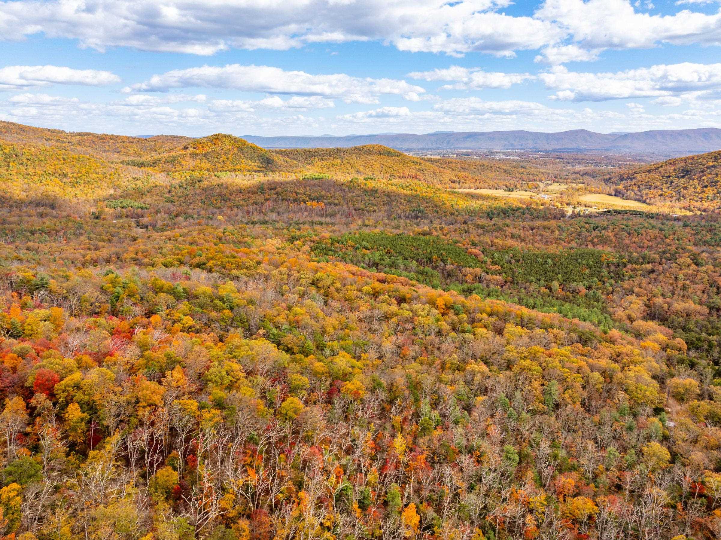 0 BETHANY CHURCH LN, EDINBURG, Virginia 22824, ,Farm,0 BETHANY CHURCH LN,670667 MLS # 670667 0 BETHANY CHURCH LN, EDINBURG, Virginia 22824, ,Farm,0 BETHANY CHURCH LN,670667 MLS # 670667