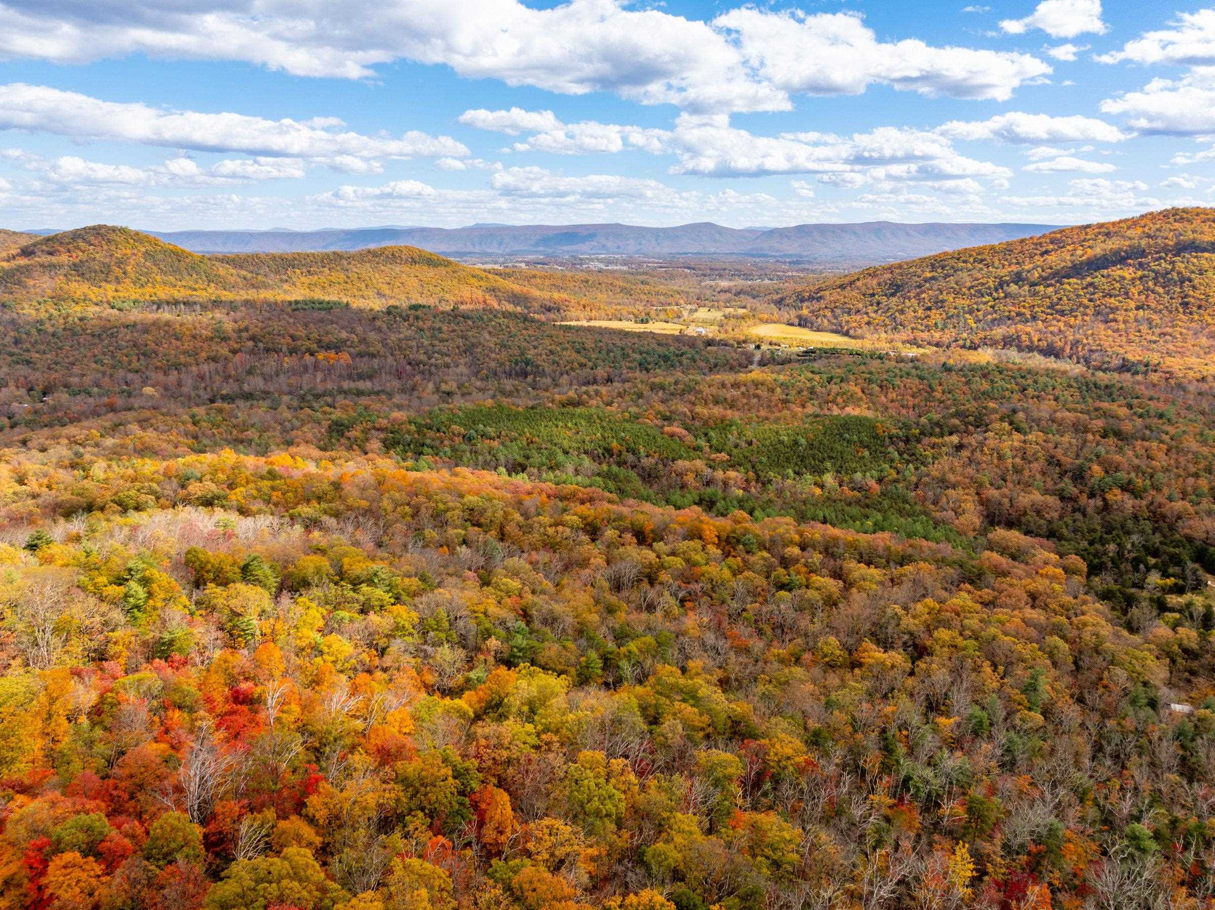 0 BETHANY CHURCH LN, EDINBURG, Virginia 22824, ,Farm,0 BETHANY CHURCH LN,670667 MLS # 670667 0 BETHANY CHURCH LN, EDINBURG, Virginia 22824, ,Farm,0 BETHANY CHURCH LN,670667 MLS # 670667