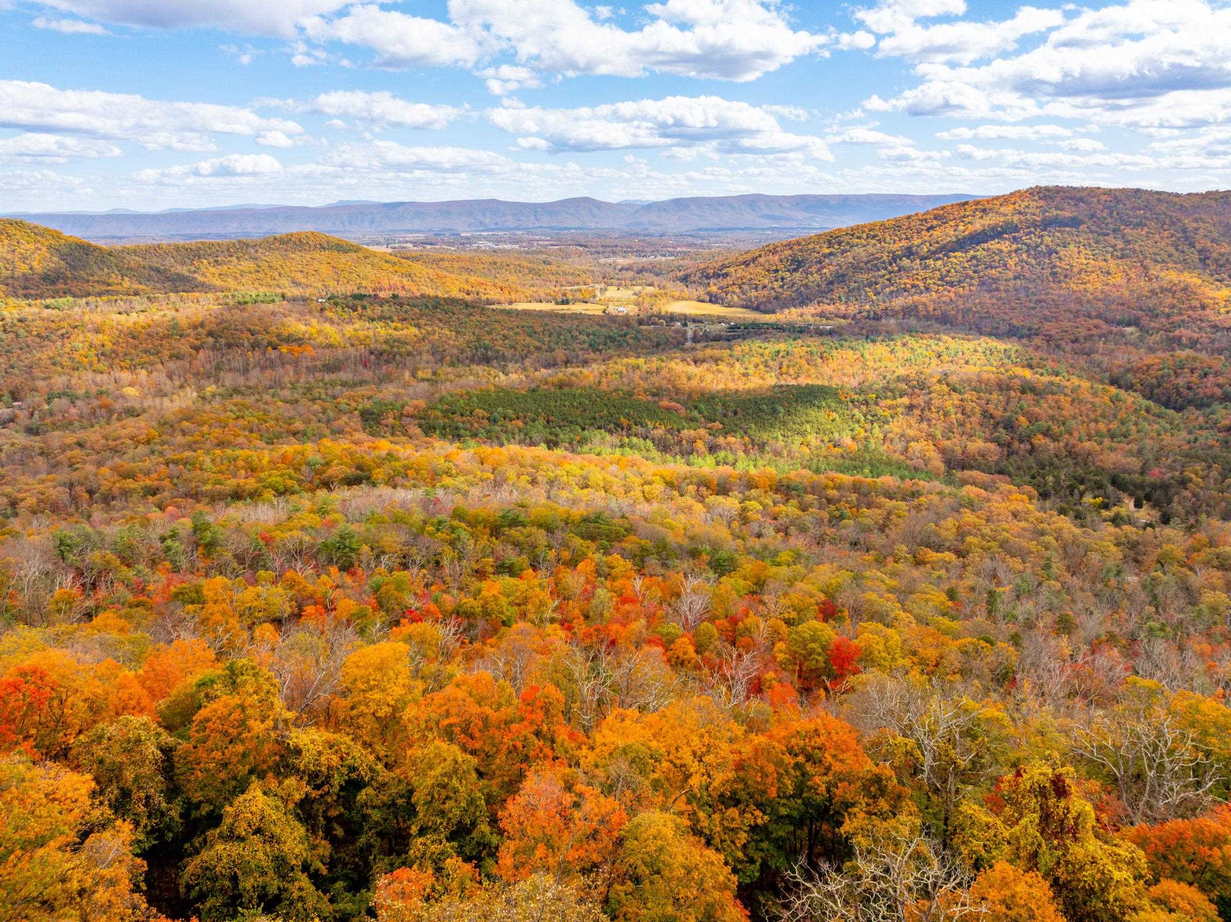 0 BETHANY CHURCH LN, EDINBURG, Virginia 22824, ,Farm,0 BETHANY CHURCH LN,670667 MLS # 670667 0 BETHANY CHURCH LN, EDINBURG, Virginia 22824, ,Farm,0 BETHANY CHURCH LN,670667 MLS # 670667