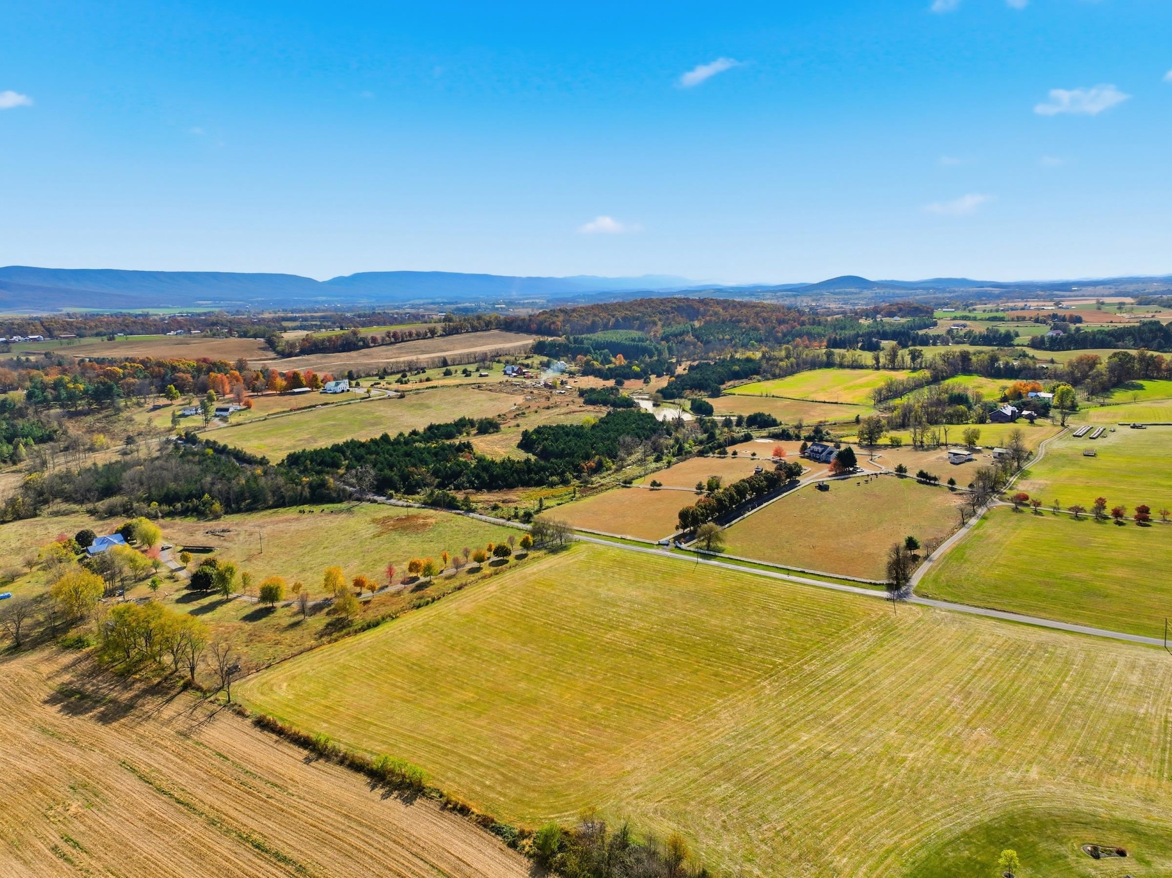 0 BAUSERMAN RD, MOUNT JACKSON, Virginia 22842, ,Land,0 BAUSERMAN RD,670668 MLS # 670668 0 BAUSERMAN RD, MOUNT JACKSON, Virginia 22842, ,Land,0 BAUSERMAN RD,670668 MLS # 670668