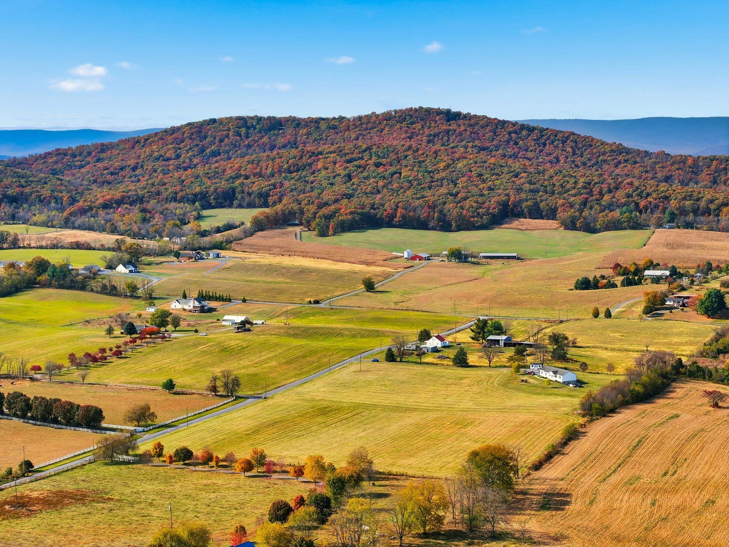 0 BAUSERMAN RD, MOUNT JACKSON, Virginia 22842, ,Land,0 BAUSERMAN RD,670668 MLS # 670668 0 BAUSERMAN RD, MOUNT JACKSON, Virginia 22842, ,Land,0 BAUSERMAN RD,670668 MLS # 670668