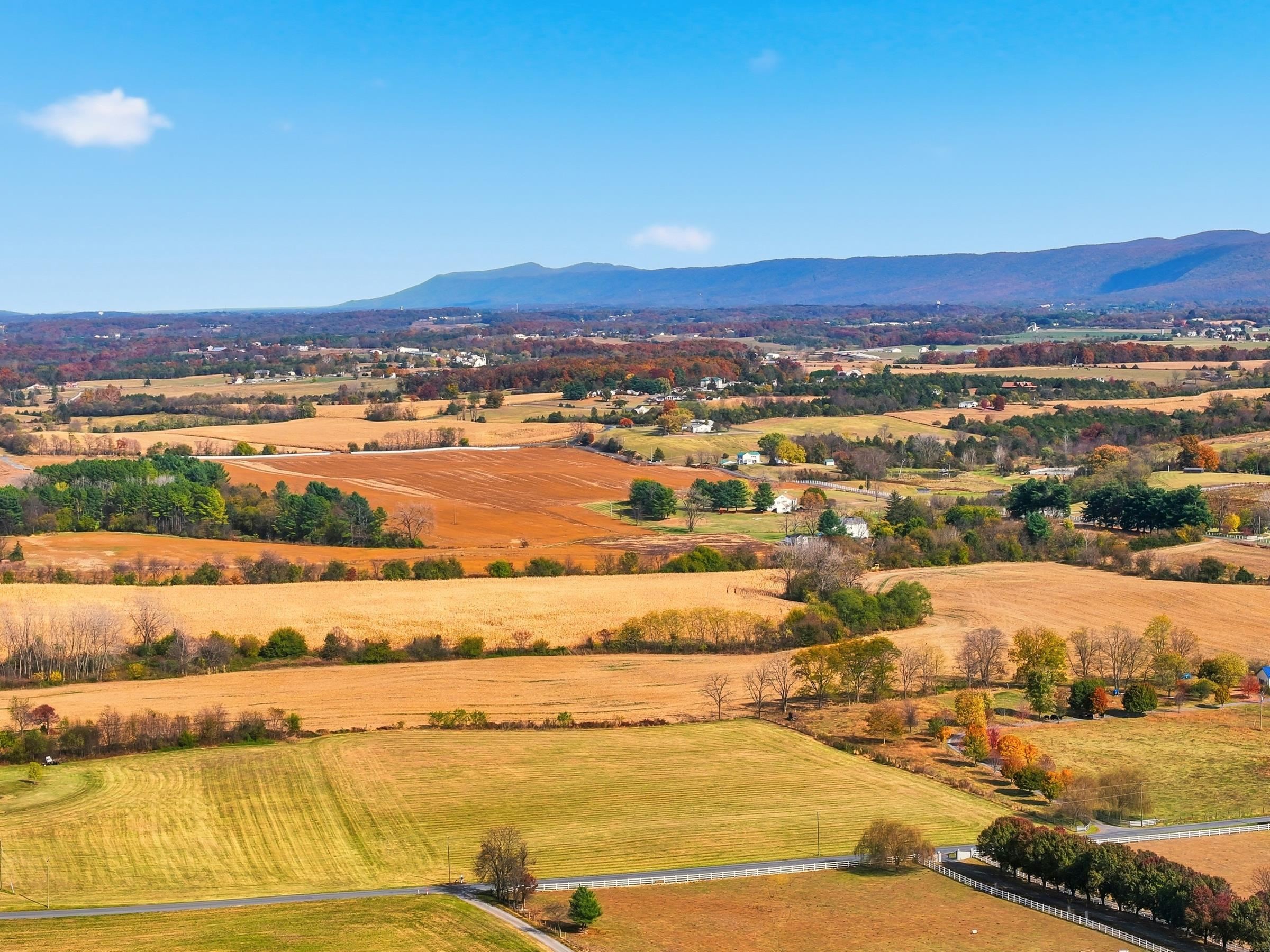 0 BAUSERMAN RD, MOUNT JACKSON, Virginia 22842, ,Land,0 BAUSERMAN RD,670668 MLS # 670668 0 BAUSERMAN RD, MOUNT JACKSON, Virginia 22842, ,Land,0 BAUSERMAN RD,670668 MLS # 670668