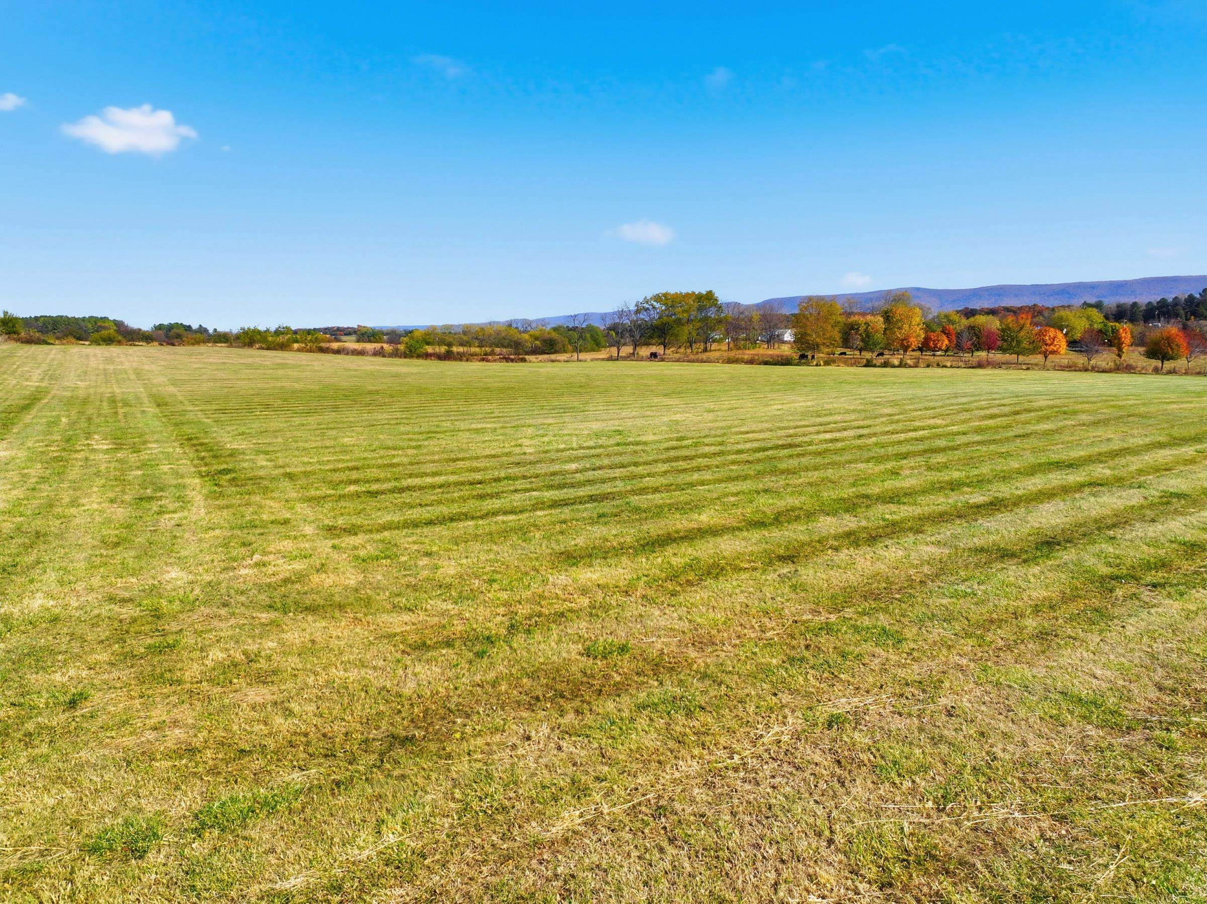 0 BAUSERMAN RD, MOUNT JACKSON, Virginia 22842, ,Land,0 BAUSERMAN RD,670668 MLS # 670668 0 BAUSERMAN RD, MOUNT JACKSON, Virginia 22842, ,Land,0 BAUSERMAN RD,670668 MLS # 670668