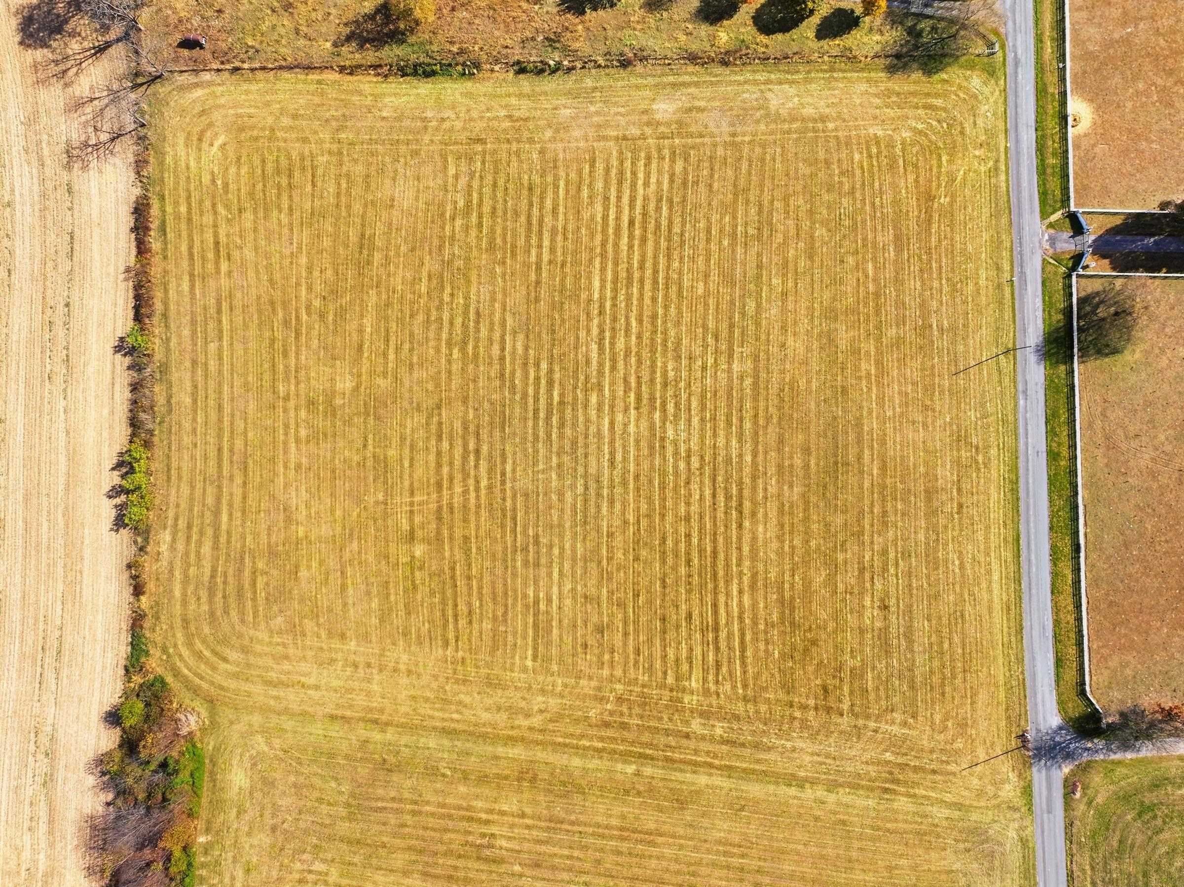 0 BAUSERMAN RD, MOUNT JACKSON, Virginia 22842, ,Land,0 BAUSERMAN RD,670668 MLS # 670668 0 BAUSERMAN RD, MOUNT JACKSON, Virginia 22842, ,Land,0 BAUSERMAN RD,670668 MLS # 670668