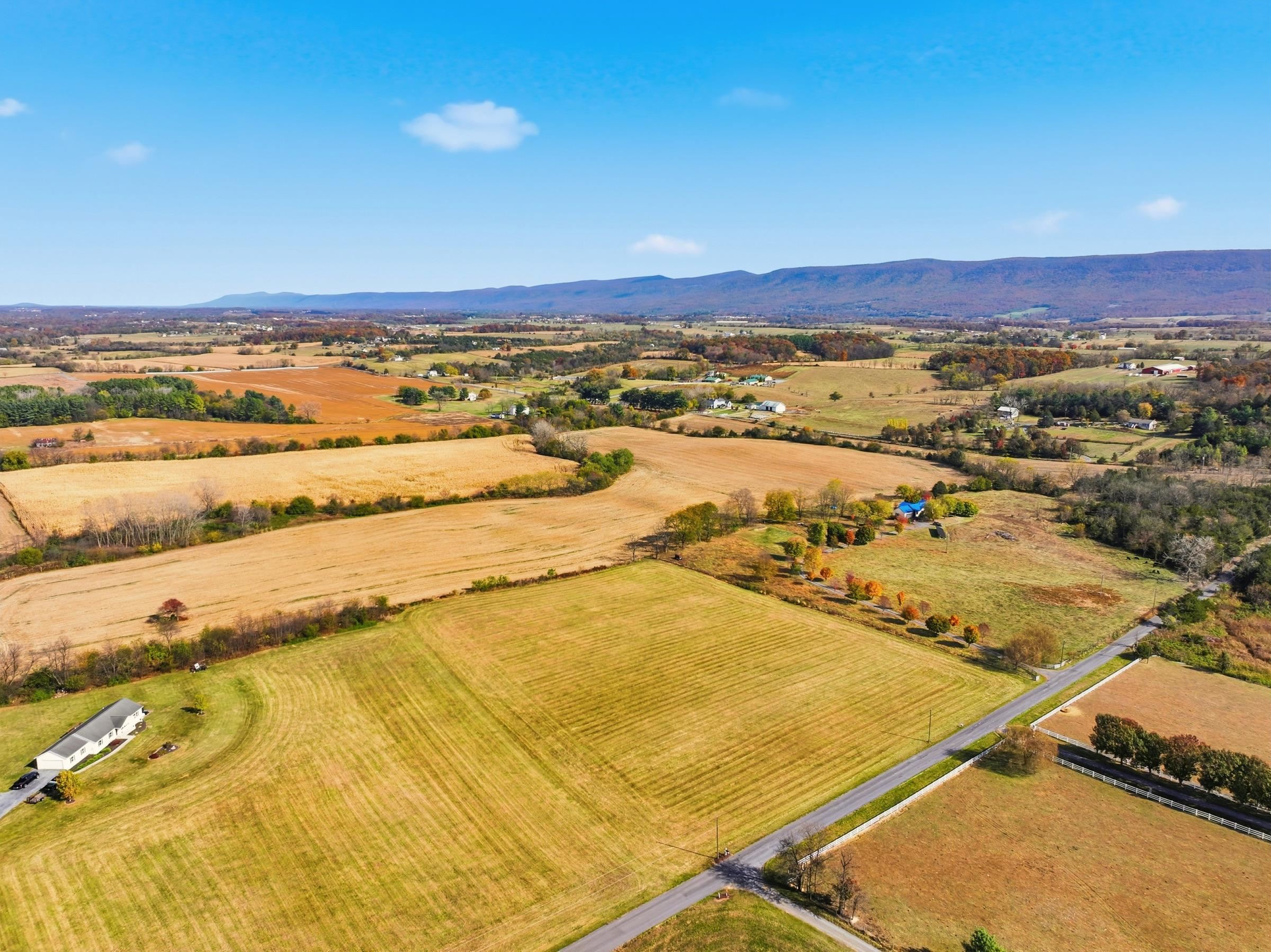 0 BAUSERMAN RD, MOUNT JACKSON, Virginia 22842, ,Land,0 BAUSERMAN RD,670668 MLS # 670668 0 BAUSERMAN RD, MOUNT JACKSON, Virginia 22842, ,Land,0 BAUSERMAN RD,670668 MLS # 670668