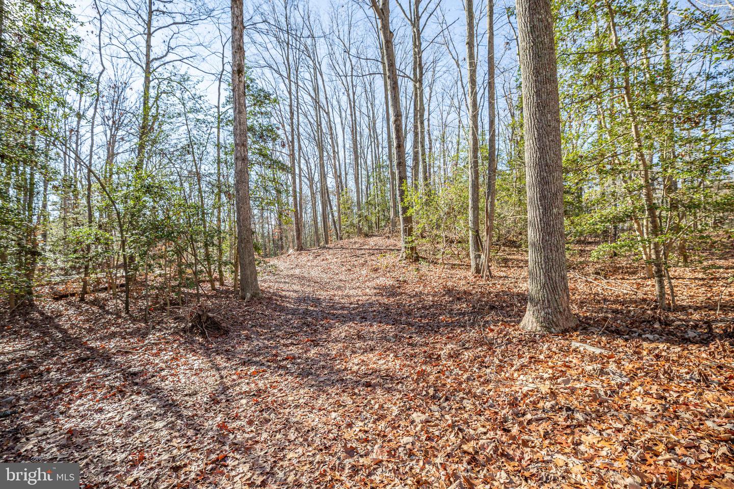 15332 DAWN BLVD, DOSWELL, Virginia 23047, 3 Bedrooms Bedrooms, ,2 BathroomsBathrooms,Residential,For sale,15332 DAWN BLVD,VACV2008982 MLS # VACV2008982