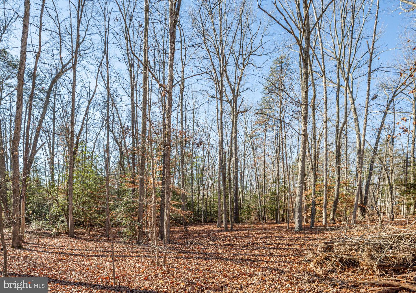 15332 DAWN BLVD, DOSWELL, Virginia 23047, 3 Bedrooms Bedrooms, ,2 BathroomsBathrooms,Residential,For sale,15332 DAWN BLVD,VACV2008982 MLS # VACV2008982