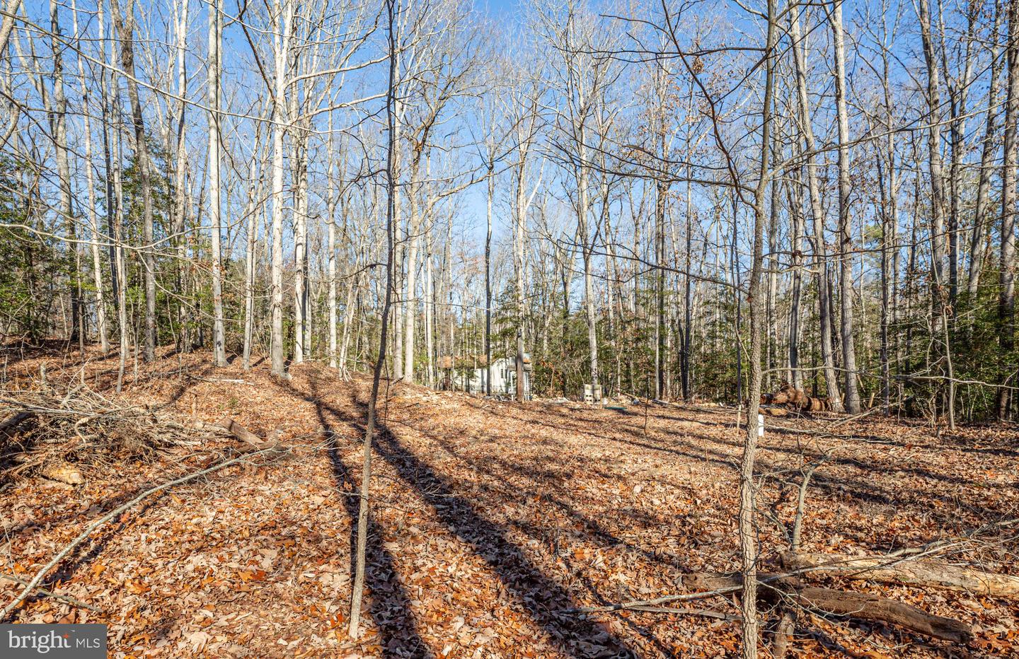 15332 DAWN BLVD, DOSWELL, Virginia 23047, 3 Bedrooms Bedrooms, ,2 BathroomsBathrooms,Residential,For sale,15332 DAWN BLVD,VACV2008982 MLS # VACV2008982