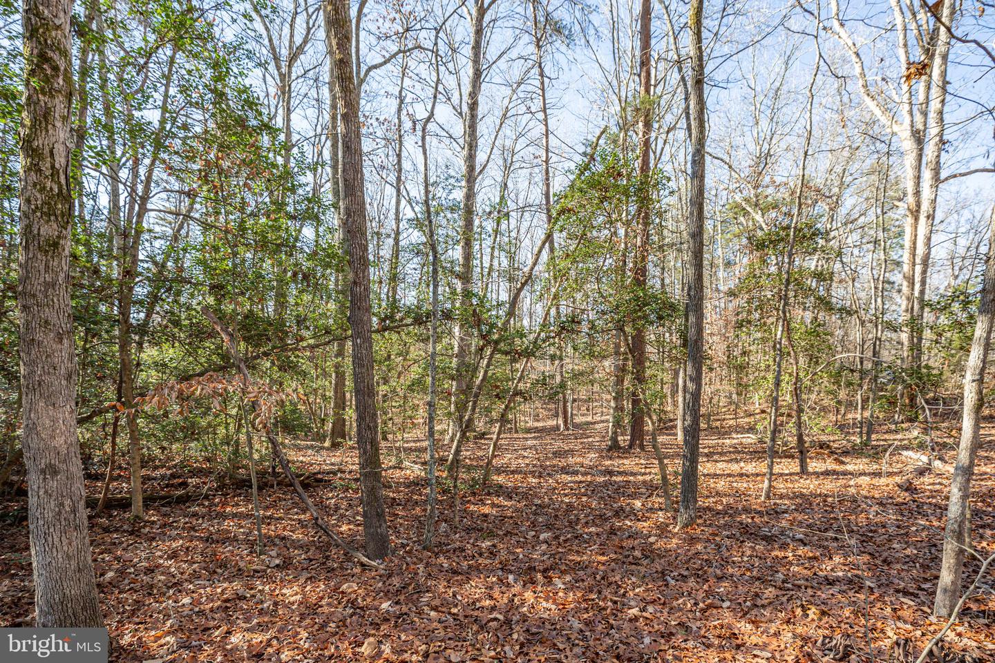 15332 DAWN BLVD, DOSWELL, Virginia 23047, 3 Bedrooms Bedrooms, ,2 BathroomsBathrooms,Residential,For sale,15332 DAWN BLVD,VACV2008982 MLS # VACV2008982