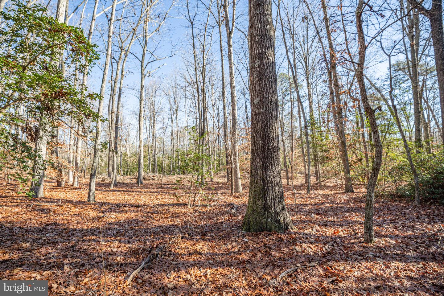 15332 DAWN BLVD, DOSWELL, Virginia 23047, 3 Bedrooms Bedrooms, ,2 BathroomsBathrooms,Residential,For sale,15332 DAWN BLVD,VACV2008982 MLS # VACV2008982