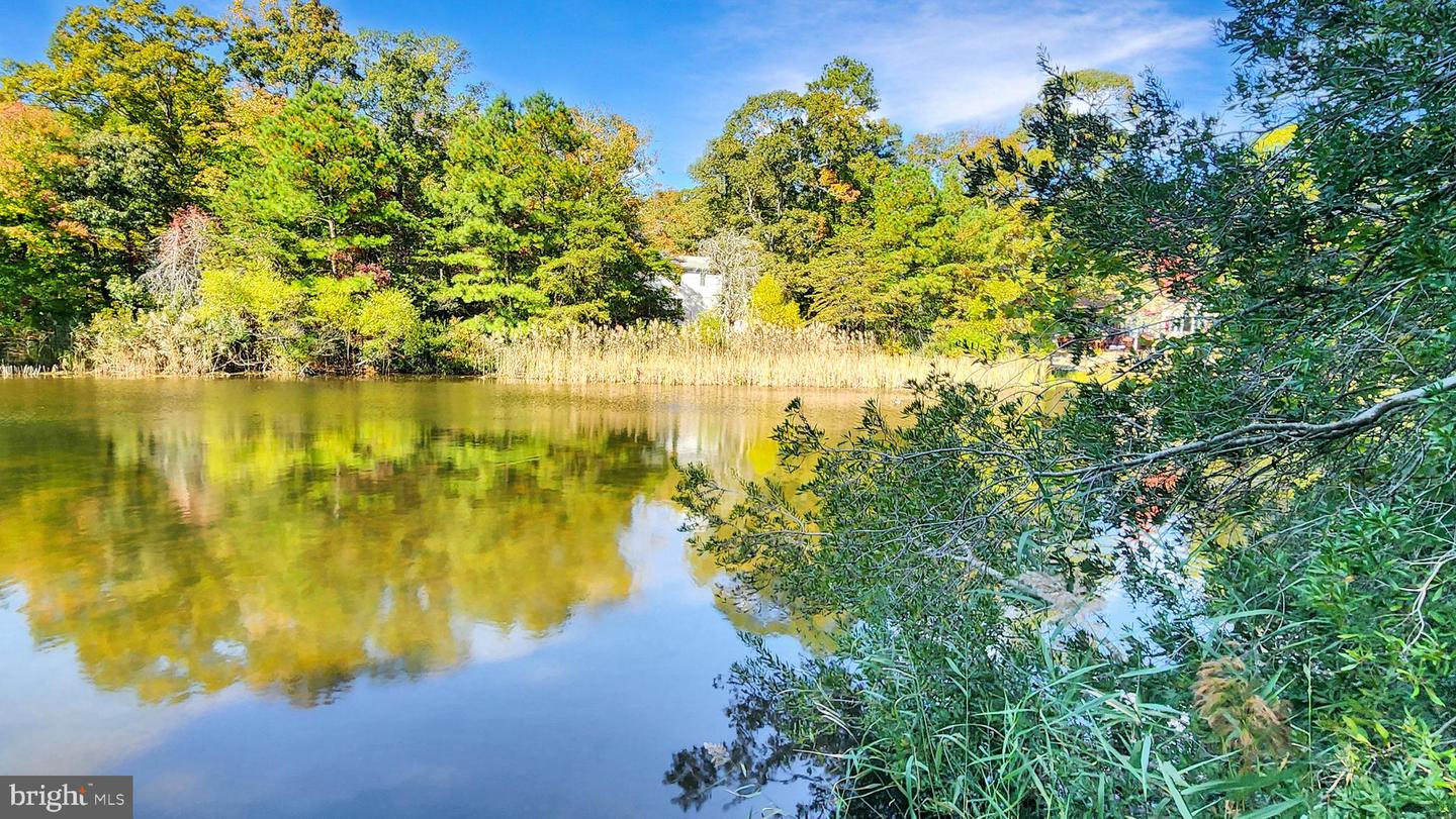 3789 CAPTAINS CORRIDOR, GREENBACKVILLE, Virginia 23356, 3 Bedrooms Bedrooms, ,2 BathroomsBathrooms,Residential,For sale,3789 CAPTAINS CORRIDOR,VAAC2002344 MLS # VAAC2002344 3789 CAPTAINS CORRIDOR, GREENBACKVILLE, Virginia 23356, 3 Bedrooms Bedrooms, ,2 BathroomsBathrooms,Residential,For sale,3789 CAPTAINS CORRIDOR,VAAC2002344 MLS # VAAC2002344