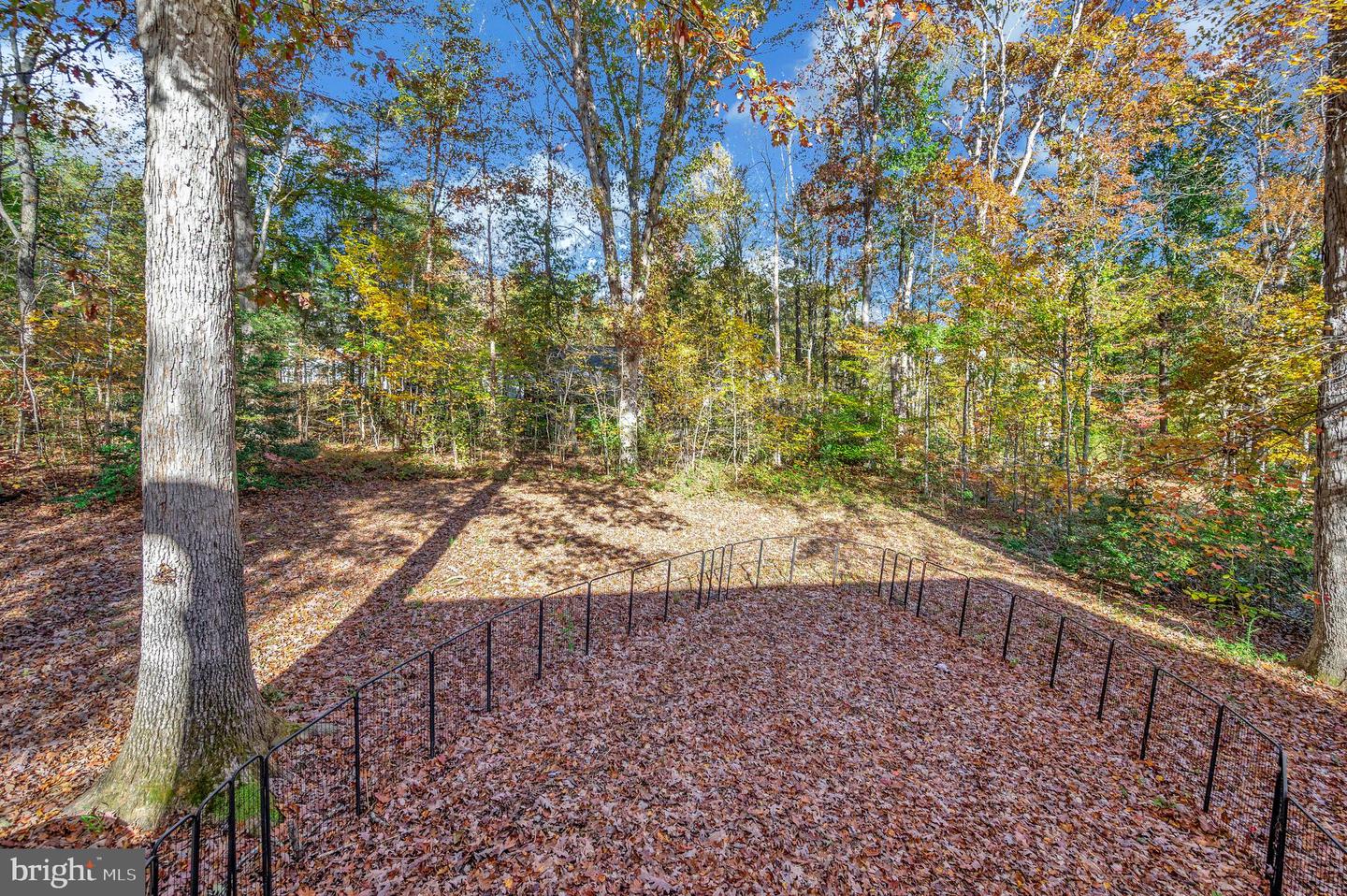 203 SEA CLIFF DR, RUTHER GLEN, Virginia 22546, 3 Bedrooms Bedrooms, ,2 BathroomsBathrooms,Residential,For sale,203 SEA CLIFF DR,VACV2009078 MLS # VACV2009078 203 SEA CLIFF DR, RUTHER GLEN, Virginia 22546, 3 Bedrooms Bedrooms, ,2 BathroomsBathrooms,Residential,For sale,203 SEA CLIFF DR,VACV2009078 MLS # VACV2009078