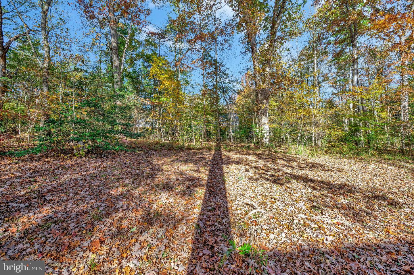 203 SEA CLIFF DR, RUTHER GLEN, Virginia 22546, 3 Bedrooms Bedrooms, ,2 BathroomsBathrooms,Residential,For sale,203 SEA CLIFF DR,VACV2009078 MLS # VACV2009078 203 SEA CLIFF DR, RUTHER GLEN, Virginia 22546, 3 Bedrooms Bedrooms, ,2 BathroomsBathrooms,Residential,For sale,203 SEA CLIFF DR,VACV2009078 MLS # VACV2009078