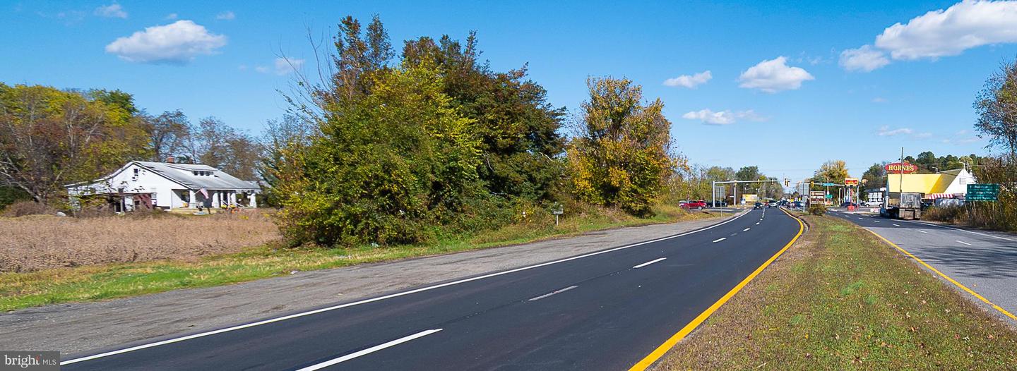 25513 TIDEWATER TRL, PORT ROYAL, Virginia 22535, ,Land,For sale,25513 TIDEWATER TRL,VACV2009086 MLS # VACV2009086