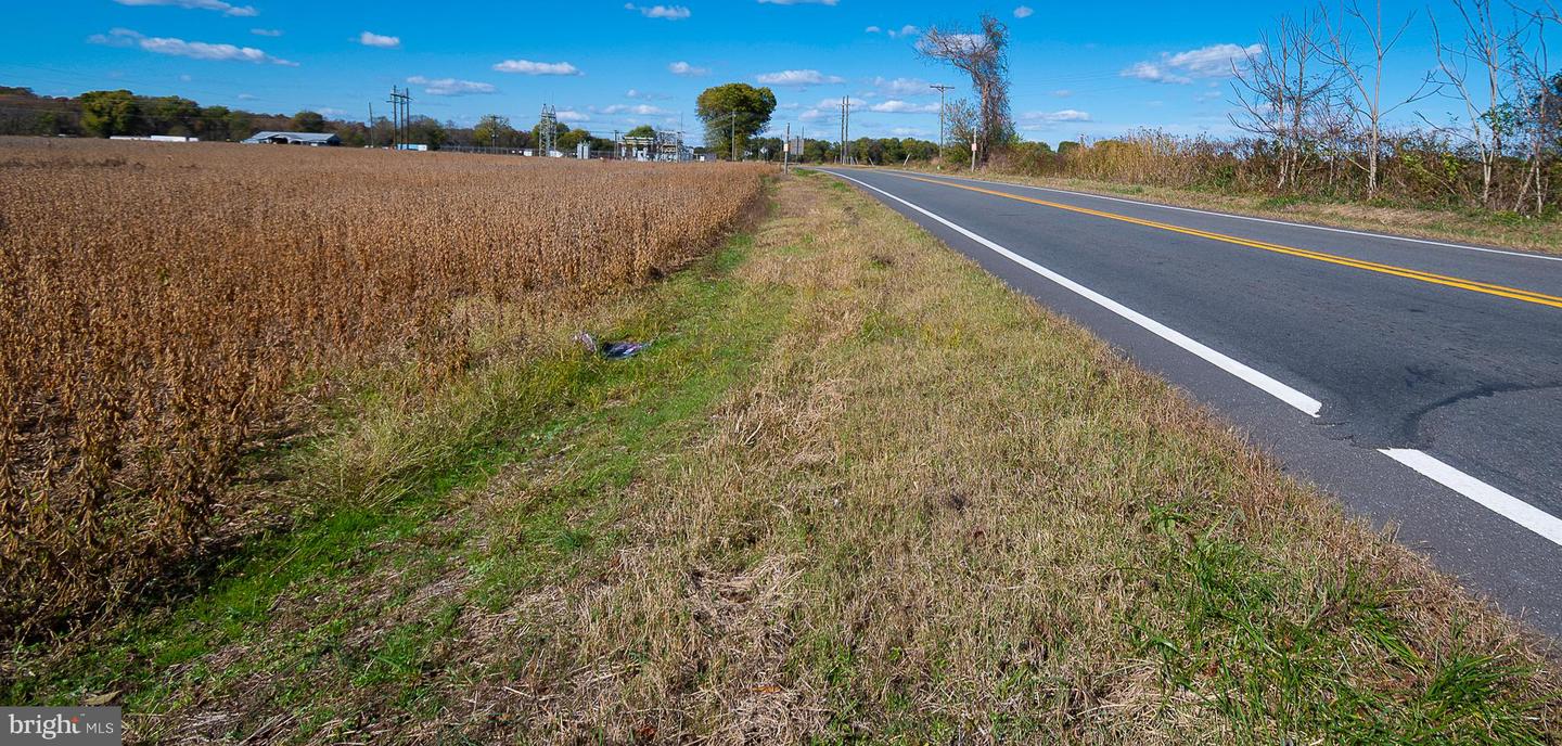 25513 TIDEWATER TRL, PORT ROYAL, Virginia 22535, ,Land,For sale,25513 TIDEWATER TRL,VACV2009086 MLS # VACV2009086