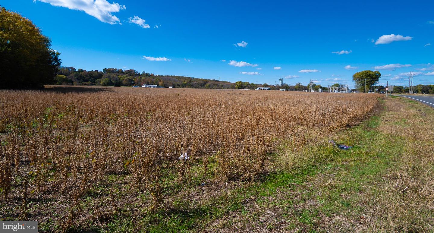 25513 TIDEWATER TRL, PORT ROYAL, Virginia 22535, ,Land,For sale,25513 TIDEWATER TRL,VACV2009086 MLS # VACV2009086