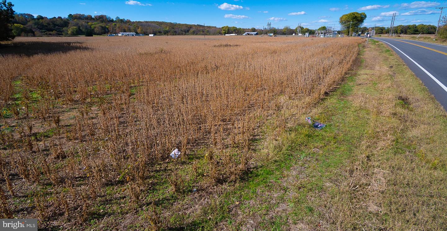 25513 TIDEWATER TRL, PORT ROYAL, Virginia 22535, ,Land,For sale,25513 TIDEWATER TRL,VACV2009086 MLS # VACV2009086