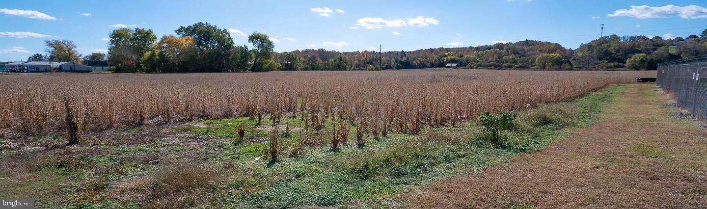 25513 TIDEWATER TRL, PORT ROYAL, Virginia 22535, ,Land,For sale,25513 TIDEWATER TRL,VACV2009086 MLS # VACV2009086