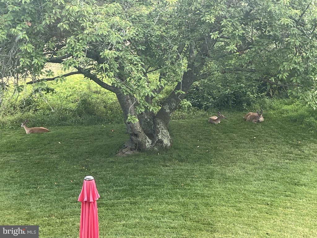 40925 ARCADIAN POND CT, ALDIE, Virginia 20105, 5 Bedrooms Bedrooms, ,4 BathroomsBathrooms,Residential,For sale,40925 ARCADIAN POND CT,VALO2109354 MLS # VALO2109354