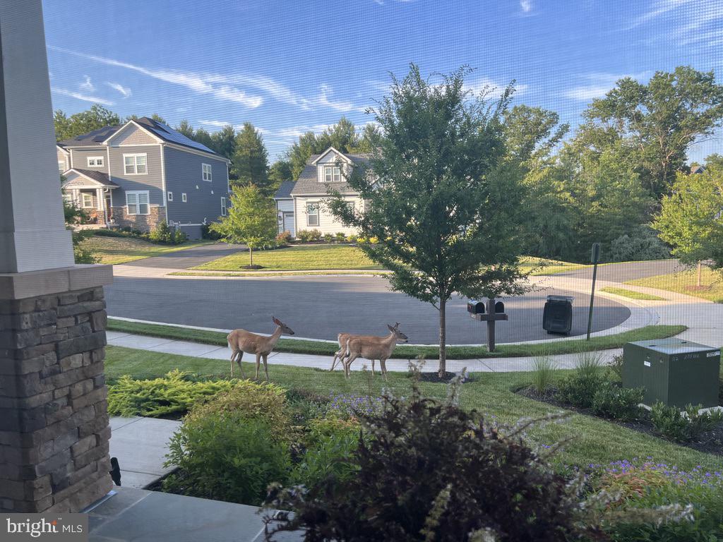 40925 ARCADIAN POND CT, ALDIE, Virginia 20105, 5 Bedrooms Bedrooms, ,4 BathroomsBathrooms,Residential,For sale,40925 ARCADIAN POND CT,VALO2109354 MLS # VALO2109354