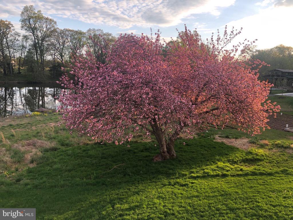 40925 ARCADIAN POND CT, ALDIE, Virginia 20105, 5 Bedrooms Bedrooms, ,4 BathroomsBathrooms,Residential,For sale,40925 ARCADIAN POND CT,VALO2109354 MLS # VALO2109354