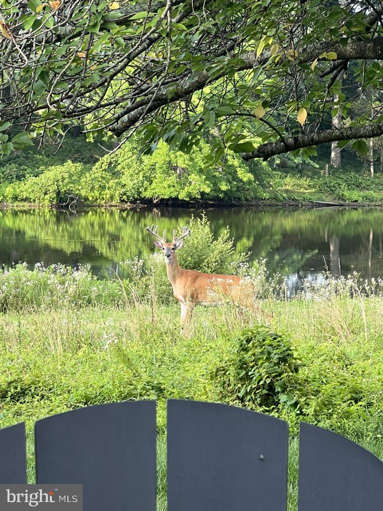 40925 ARCADIAN POND CT, ALDIE, Virginia 20105, 5 Bedrooms Bedrooms, ,4 BathroomsBathrooms,Residential,For sale,40925 ARCADIAN POND CT,VALO2109354 MLS # VALO2109354