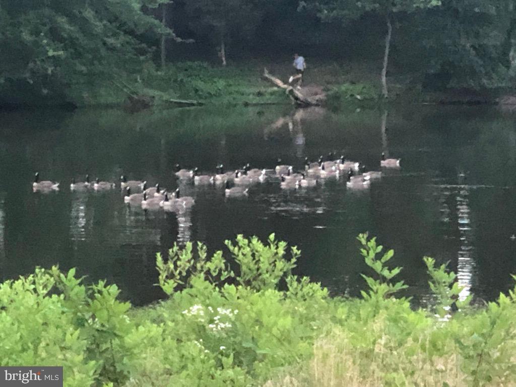 40925 ARCADIAN POND CT, ALDIE, Virginia 20105, 5 Bedrooms Bedrooms, ,4 BathroomsBathrooms,Residential,For sale,40925 ARCADIAN POND CT,VALO2109354 MLS # VALO2109354