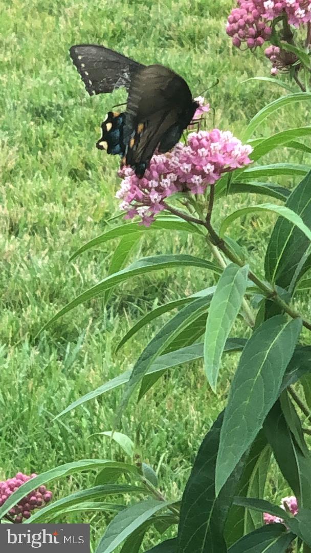 40925 ARCADIAN POND CT, ALDIE, Virginia 20105, 5 Bedrooms Bedrooms, ,4 BathroomsBathrooms,Residential,For sale,40925 ARCADIAN POND CT,VALO2109354 MLS # VALO2109354