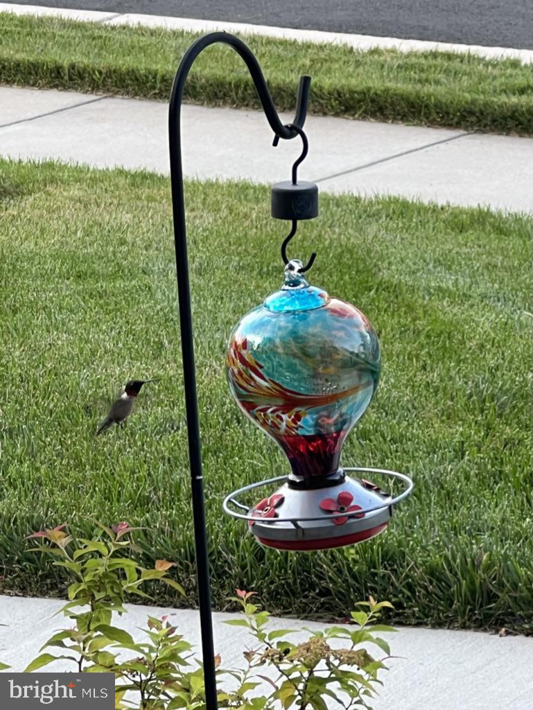 40925 ARCADIAN POND CT, ALDIE, Virginia 20105, 5 Bedrooms Bedrooms, ,4 BathroomsBathrooms,Residential,For sale,40925 ARCADIAN POND CT,VALO2109354 MLS # VALO2109354