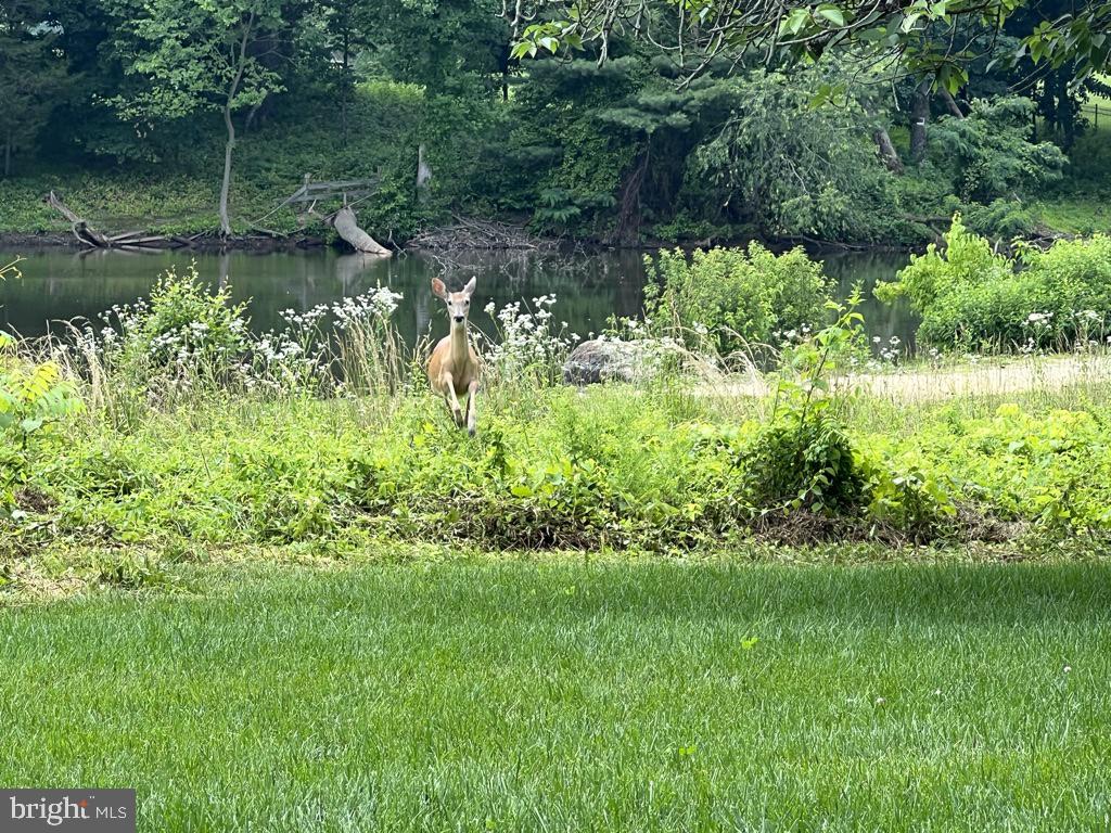 40925 ARCADIAN POND CT, ALDIE, Virginia 20105, 5 Bedrooms Bedrooms, ,4 BathroomsBathrooms,Residential,For sale,40925 ARCADIAN POND CT,VALO2109354 MLS # VALO2109354