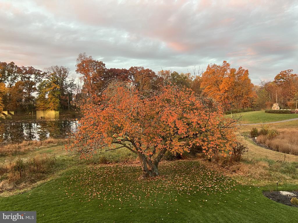 40925 ARCADIAN POND CT, ALDIE, Virginia 20105, 5 Bedrooms Bedrooms, ,4 BathroomsBathrooms,Residential,For sale,40925 ARCADIAN POND CT,VALO2109354 MLS # VALO2109354