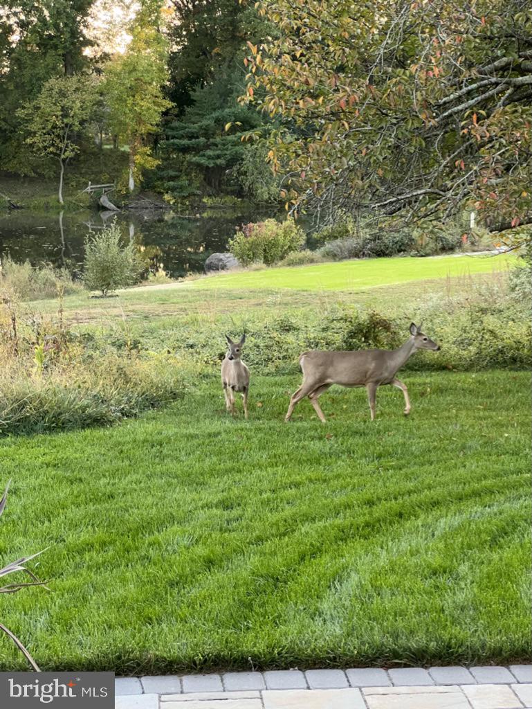 40925 ARCADIAN POND CT, ALDIE, Virginia 20105, 5 Bedrooms Bedrooms, ,4 BathroomsBathrooms,Residential,For sale,40925 ARCADIAN POND CT,VALO2109354 MLS # VALO2109354