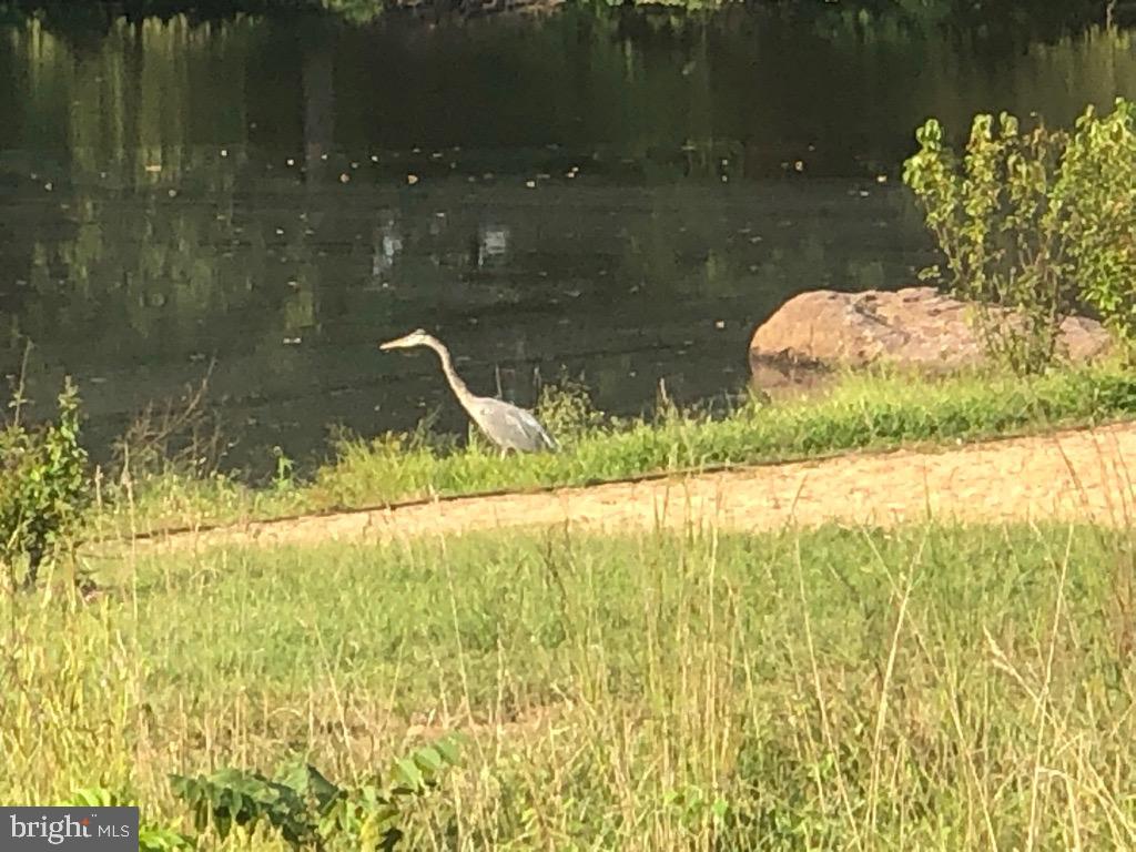 40925 ARCADIAN POND CT, ALDIE, Virginia 20105, 5 Bedrooms Bedrooms, ,4 BathroomsBathrooms,Residential,For sale,40925 ARCADIAN POND CT,VALO2109354 MLS # VALO2109354