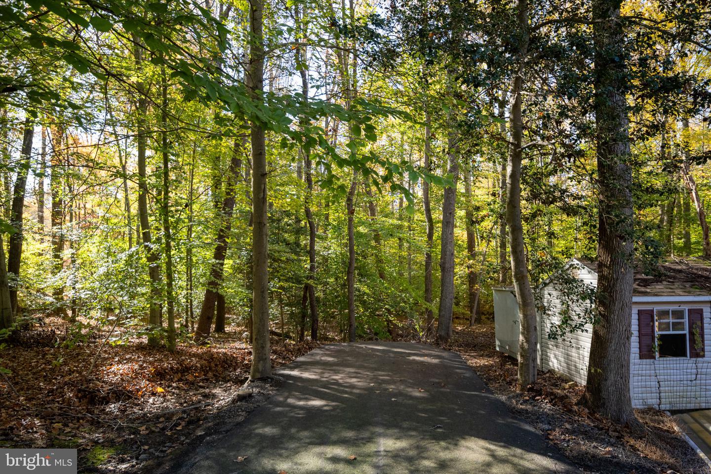 8518 TOMPKINS DR, KING GEORGE, Virginia 22485, 3 Bedrooms Bedrooms, ,2 BathroomsBathrooms,Residential,For sale,8518 TOMPKINS DR,VAKG2007232 MLS # VAKG2007232 8518 TOMPKINS DR, KING GEORGE, Virginia 22485, 3 Bedrooms Bedrooms, ,2 BathroomsBathrooms,Residential,For sale,8518 TOMPKINS DR,VAKG2007232 MLS # VAKG2007232